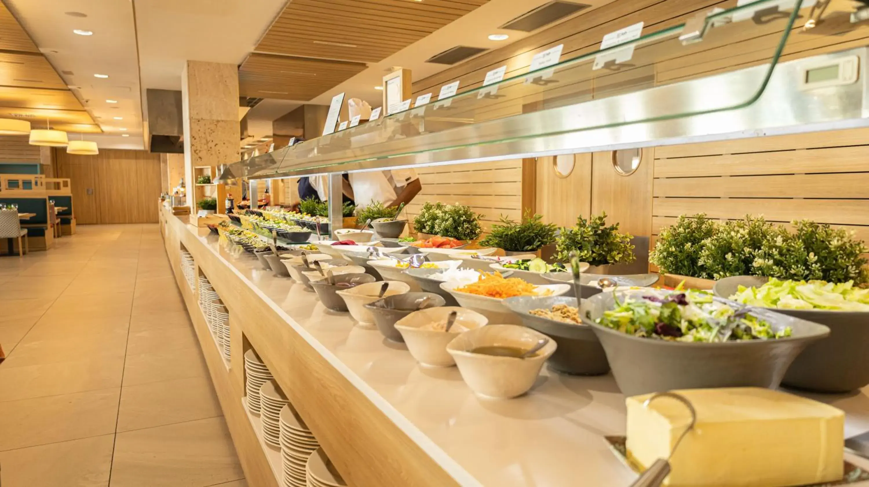 Seth 55 Santo Tomas Seth 55 Santo Tomas