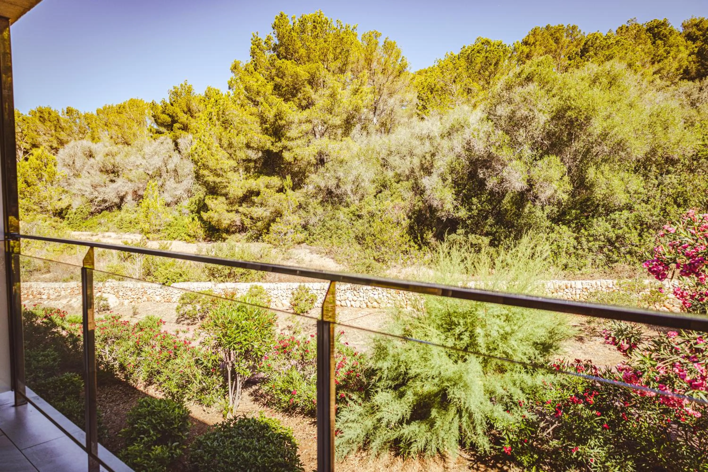 Garden in Seth 55 Santo Tomas