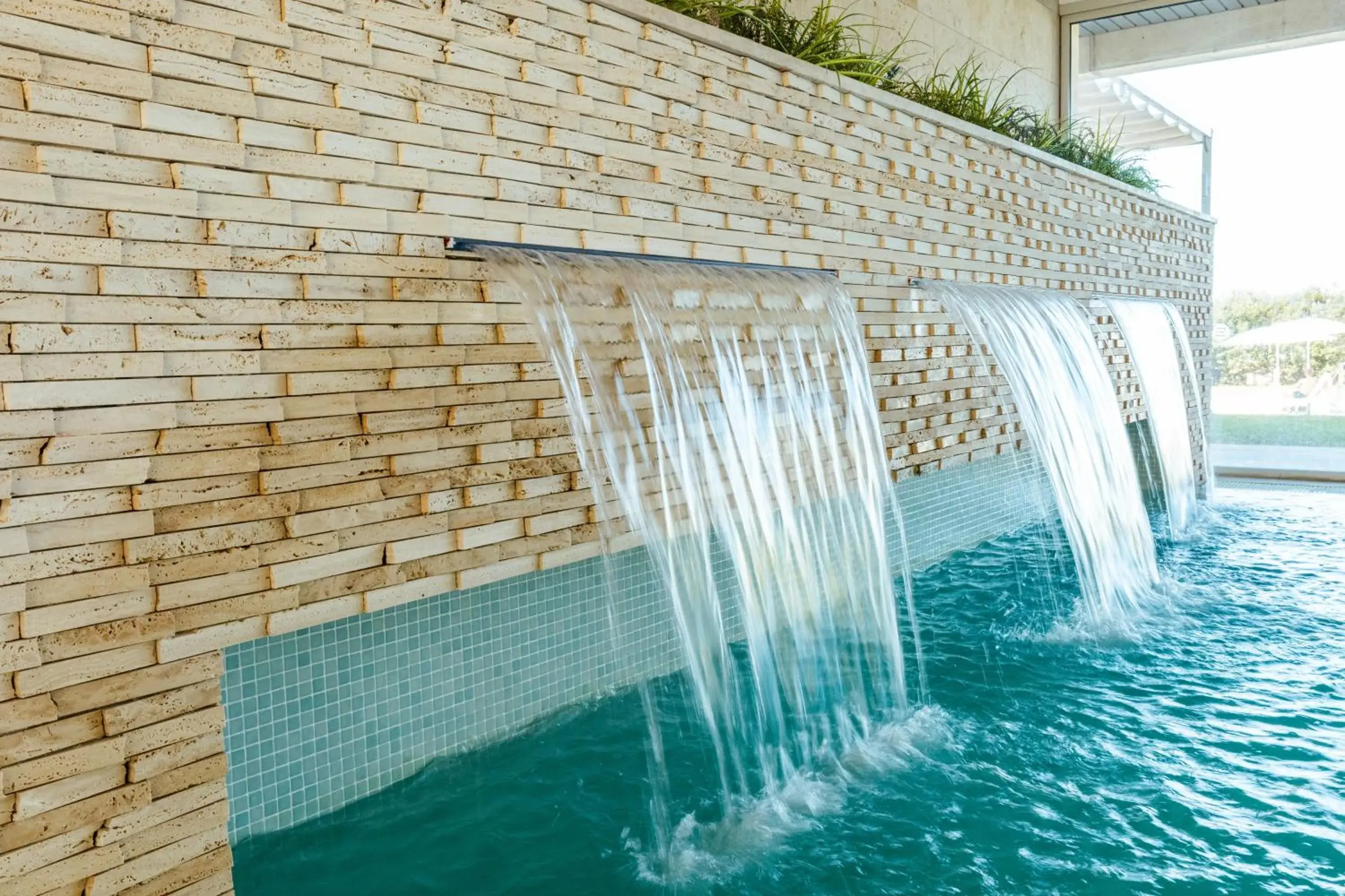 Seth 55 Santo Tomas Seth 55 Santo Tomas