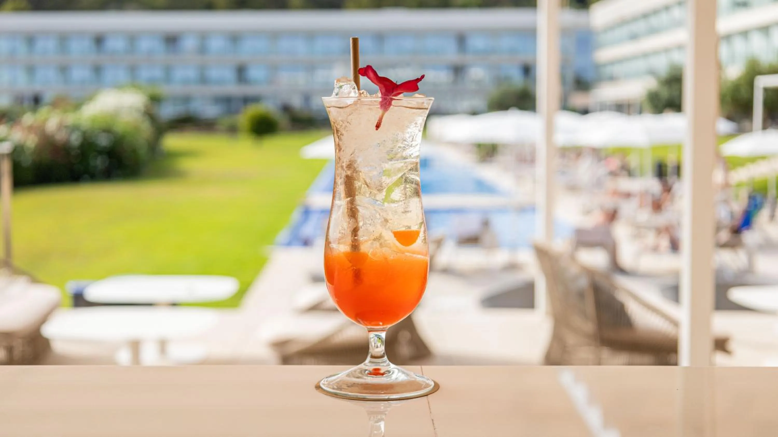 Lounge or bar in Seth 55 Santo Tomas