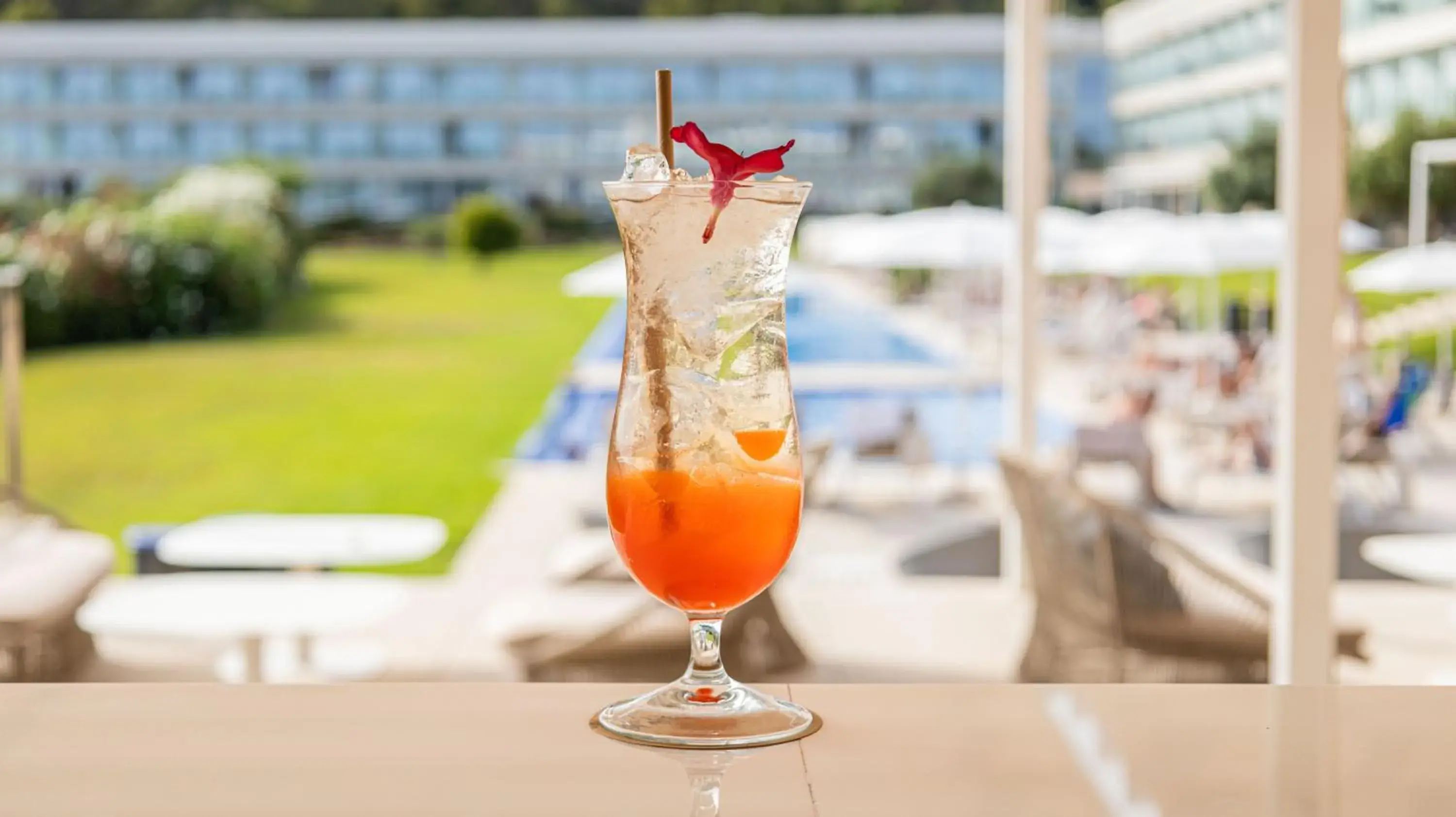 Lounge or bar in Seth 55 Santo Tomas Lounge or bar in Seth 55 Santo Tomas