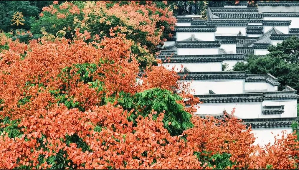 Property building in Pusen Lanting Shaoxing