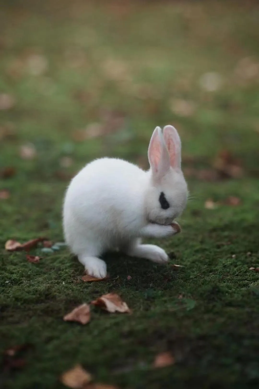 Property building in Pusen Lanting Shaoxing