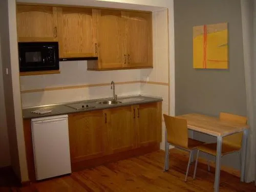 Kitchen or kitchenette in Aparthotel Peña Telera Resort