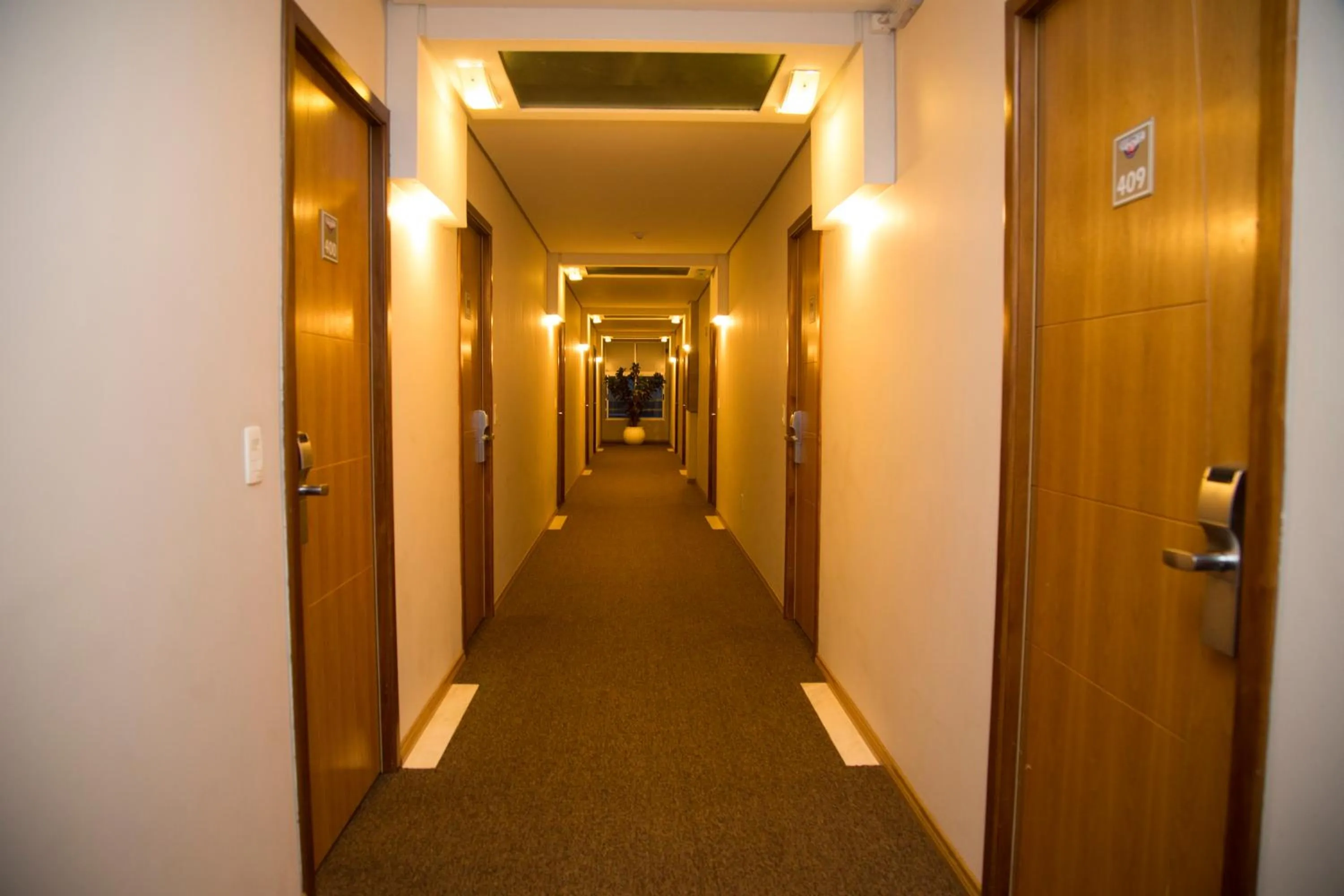 Area and facilities in Regente Hotel