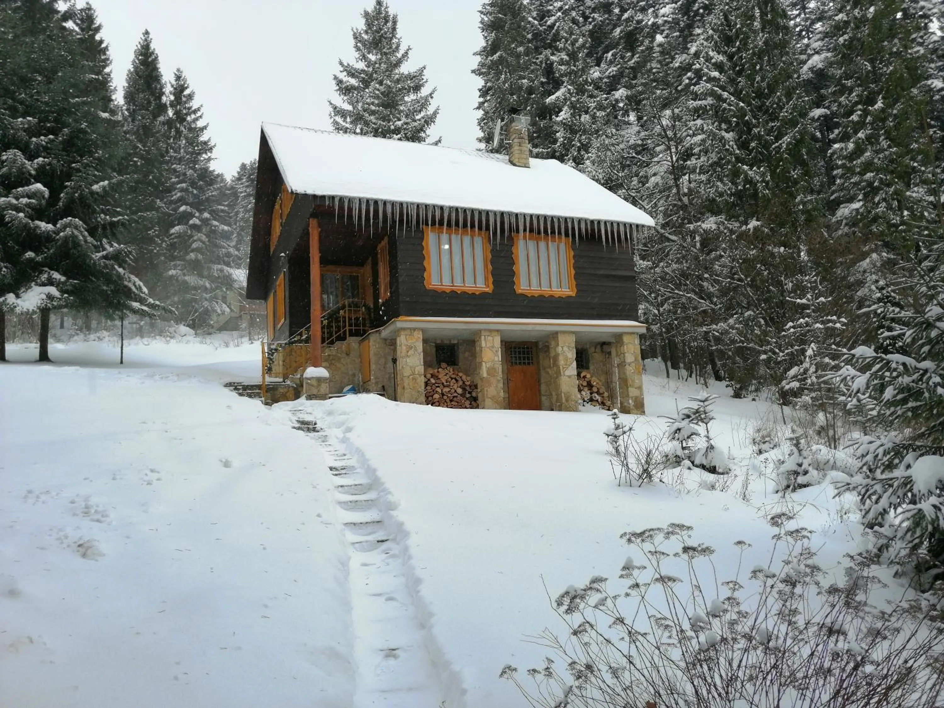 Property building in Chata FORESTINA