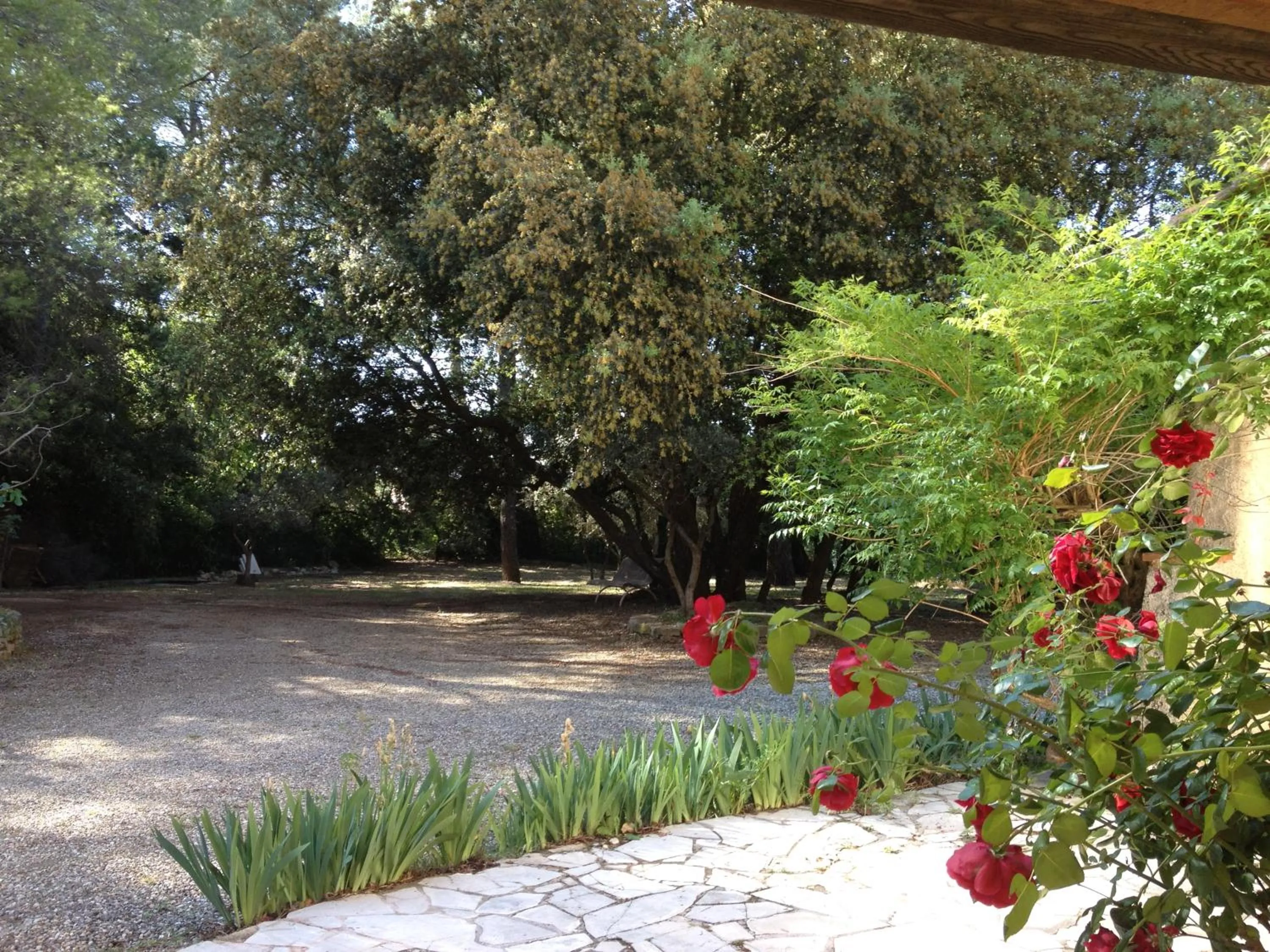 Garden in B&B Le Niaouli