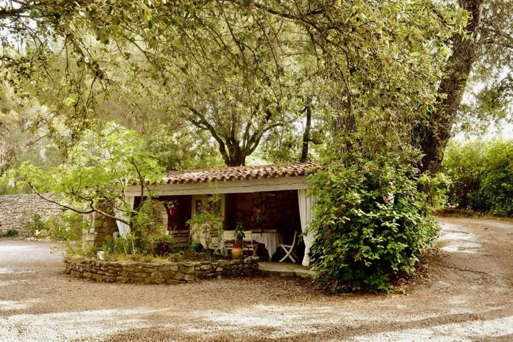 B&B Le Niaouli