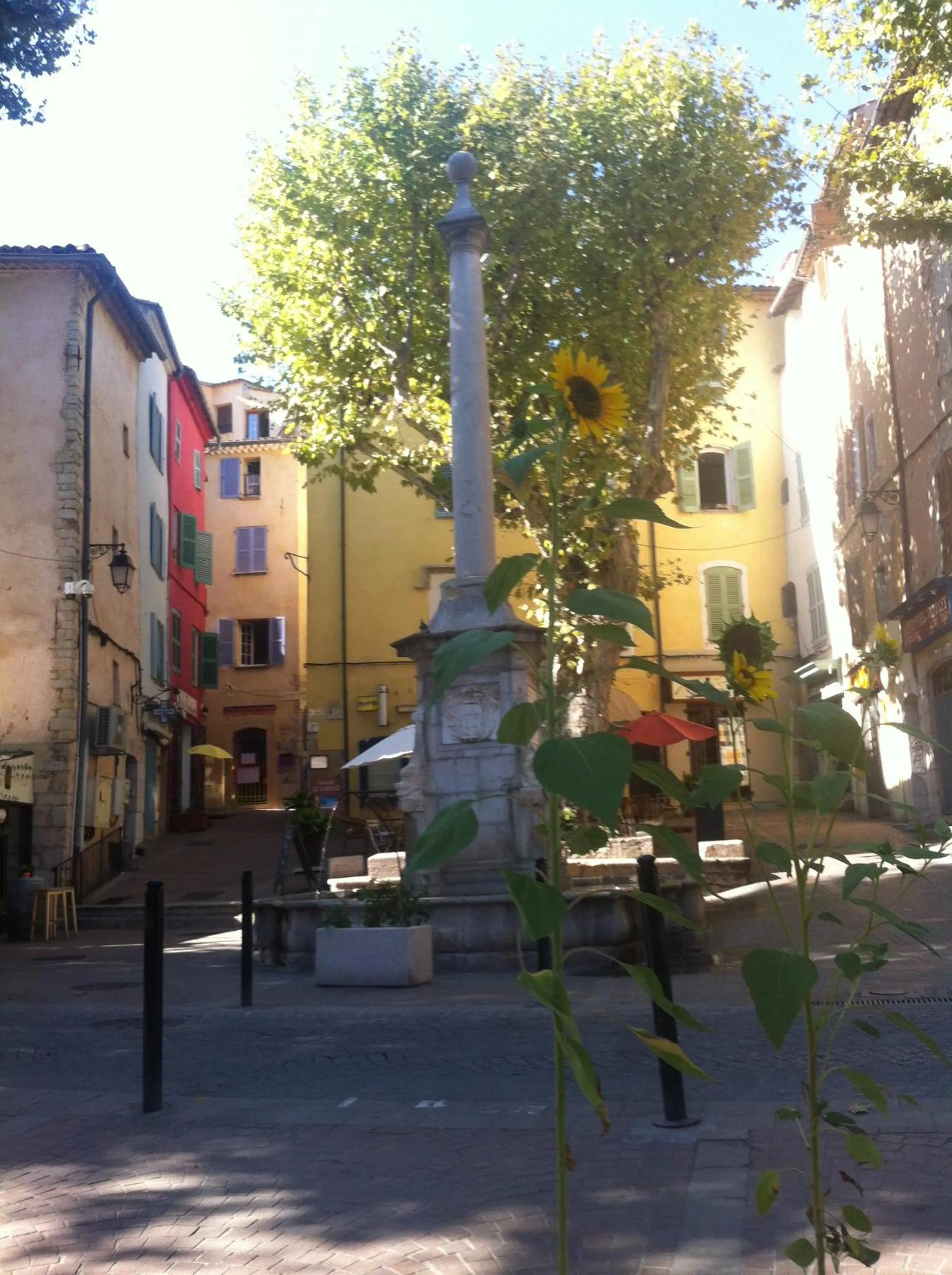 Neighbourhood in B&B Le Niaouli