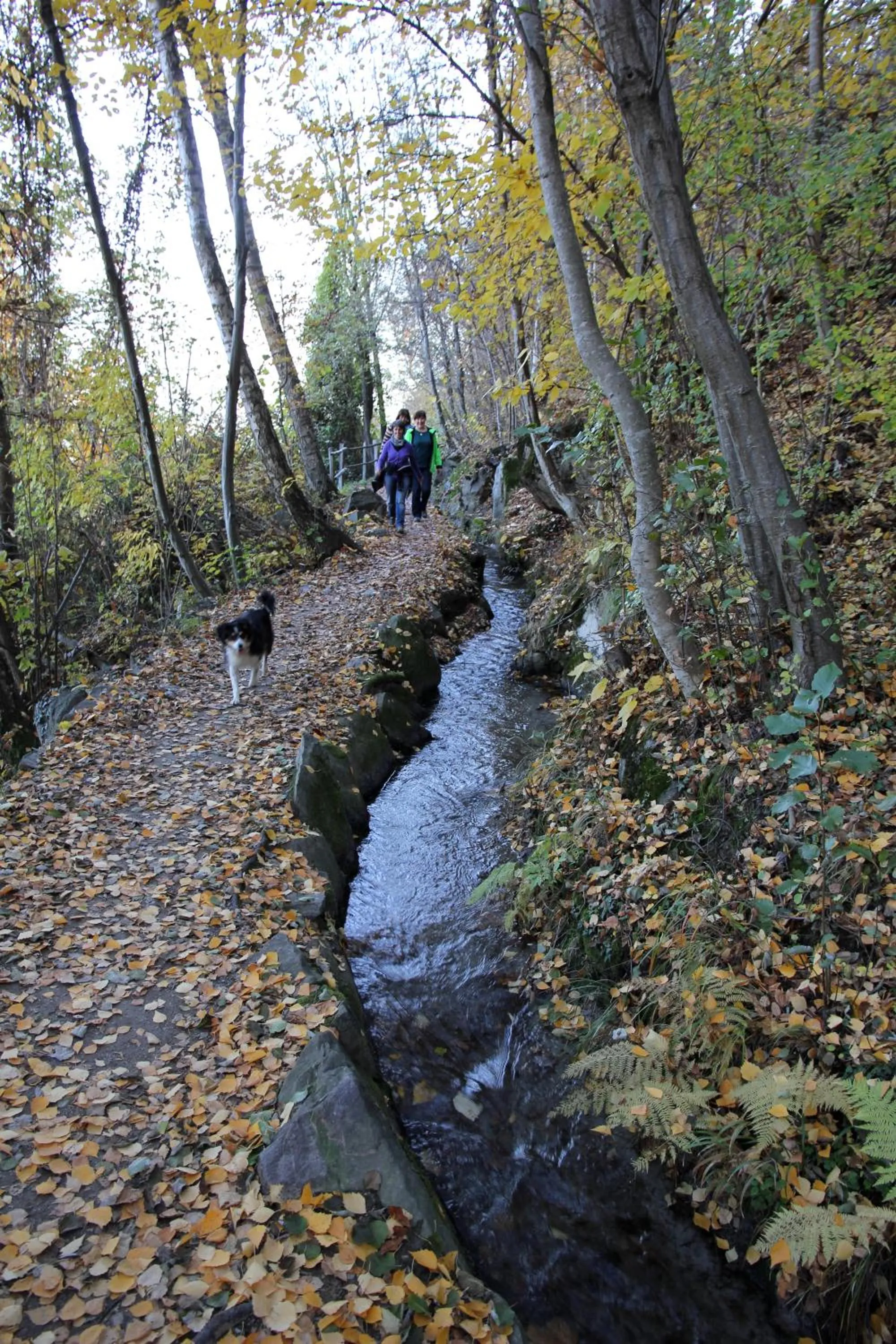 Natural landscape in Residence Sonnenburger - Biobauernhof - Azienda agricola biologica