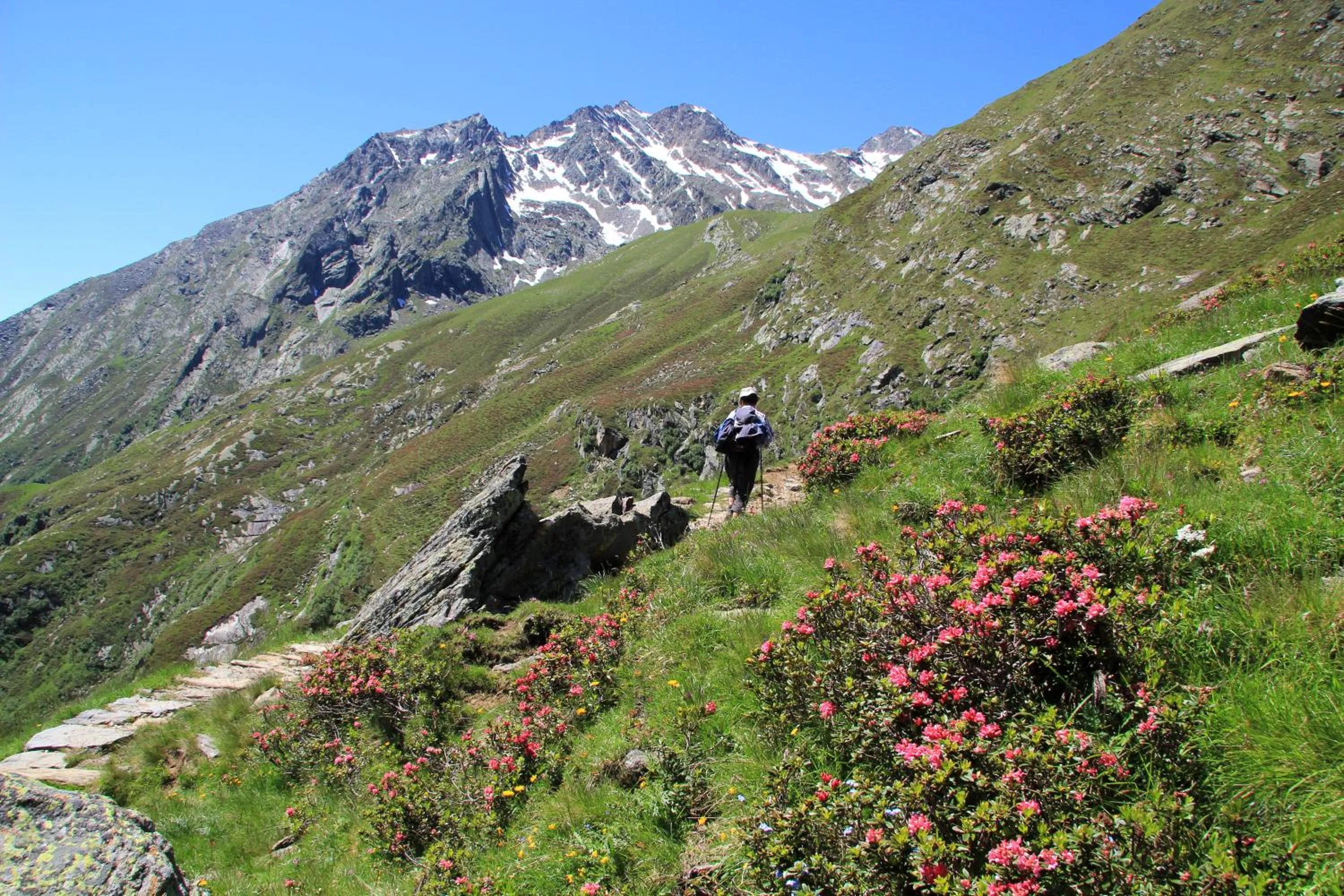 Natural landscape in Residence Sonnenburger - Biobauernhof - Azienda agricola biologica