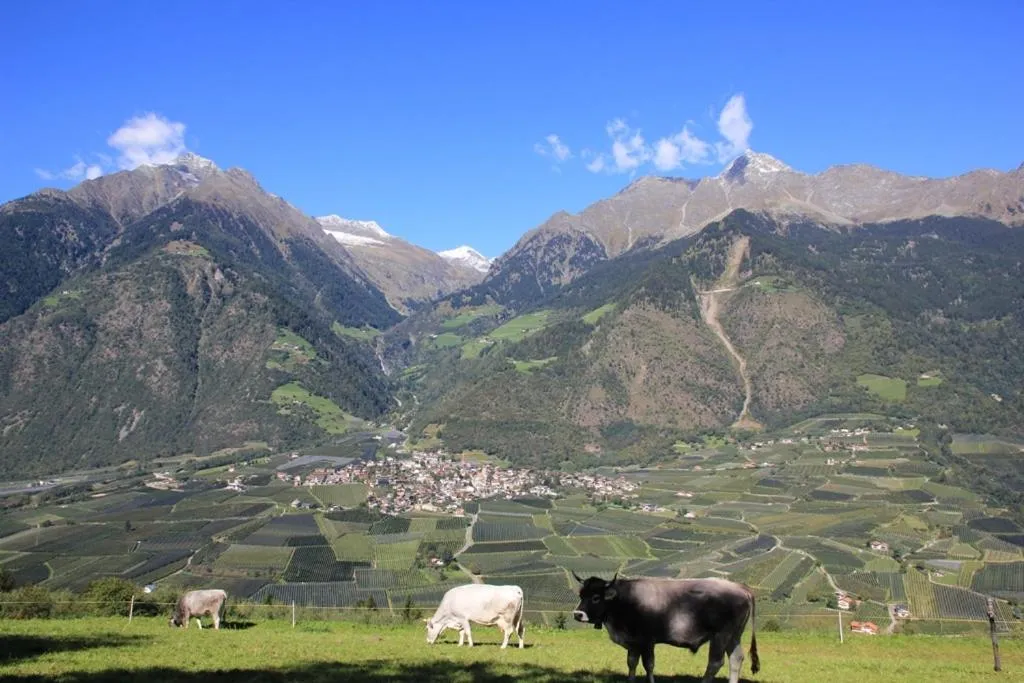 Natural landscape in Residence Sonnenburger - Biobauernhof - Azienda agricola biologica