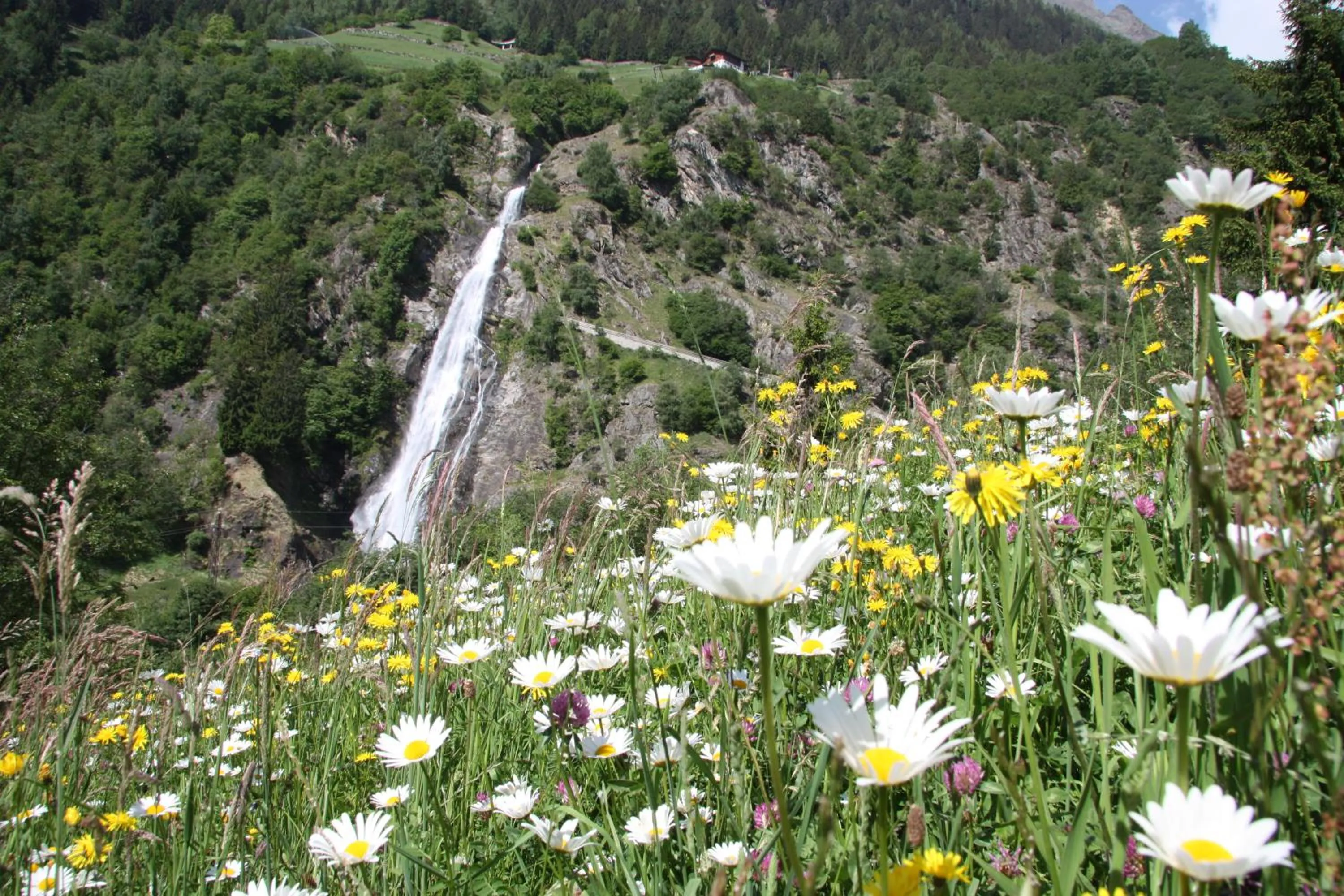 Nearby landmark in Residence Sonnenburger - Biobauernhof - Azienda agricola biologica