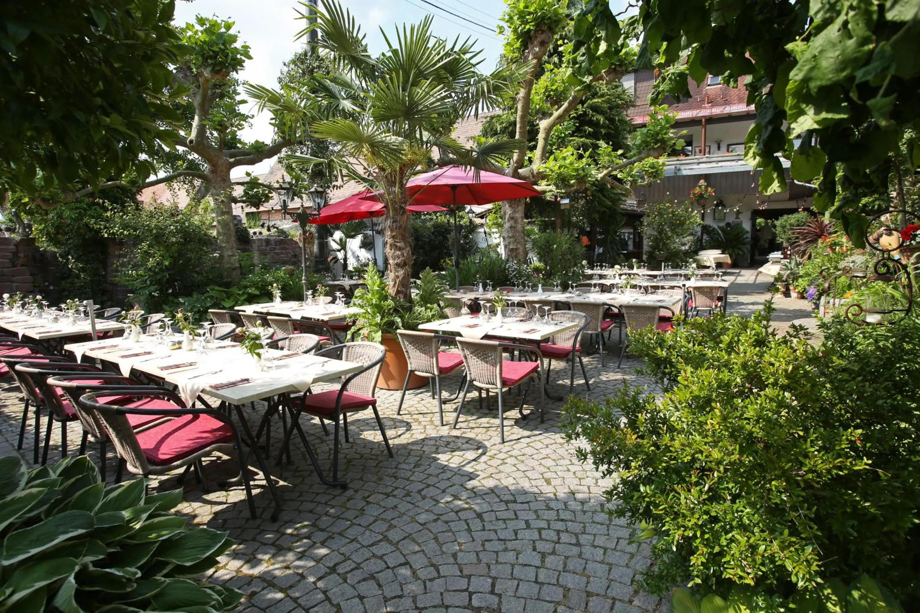 Restaurant/places to eat in Hotel Ritter