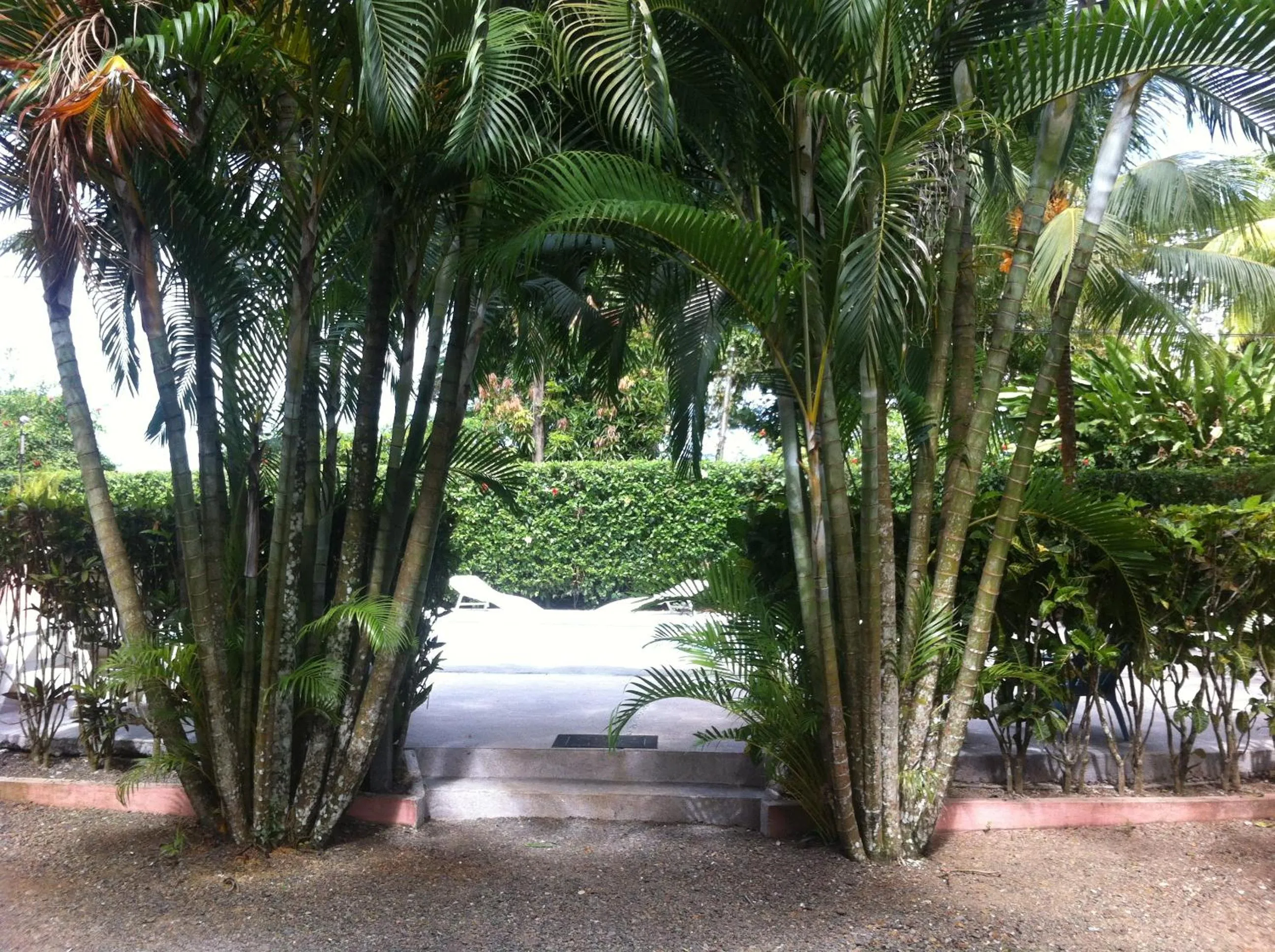 Swimming pool in Villas Majolana