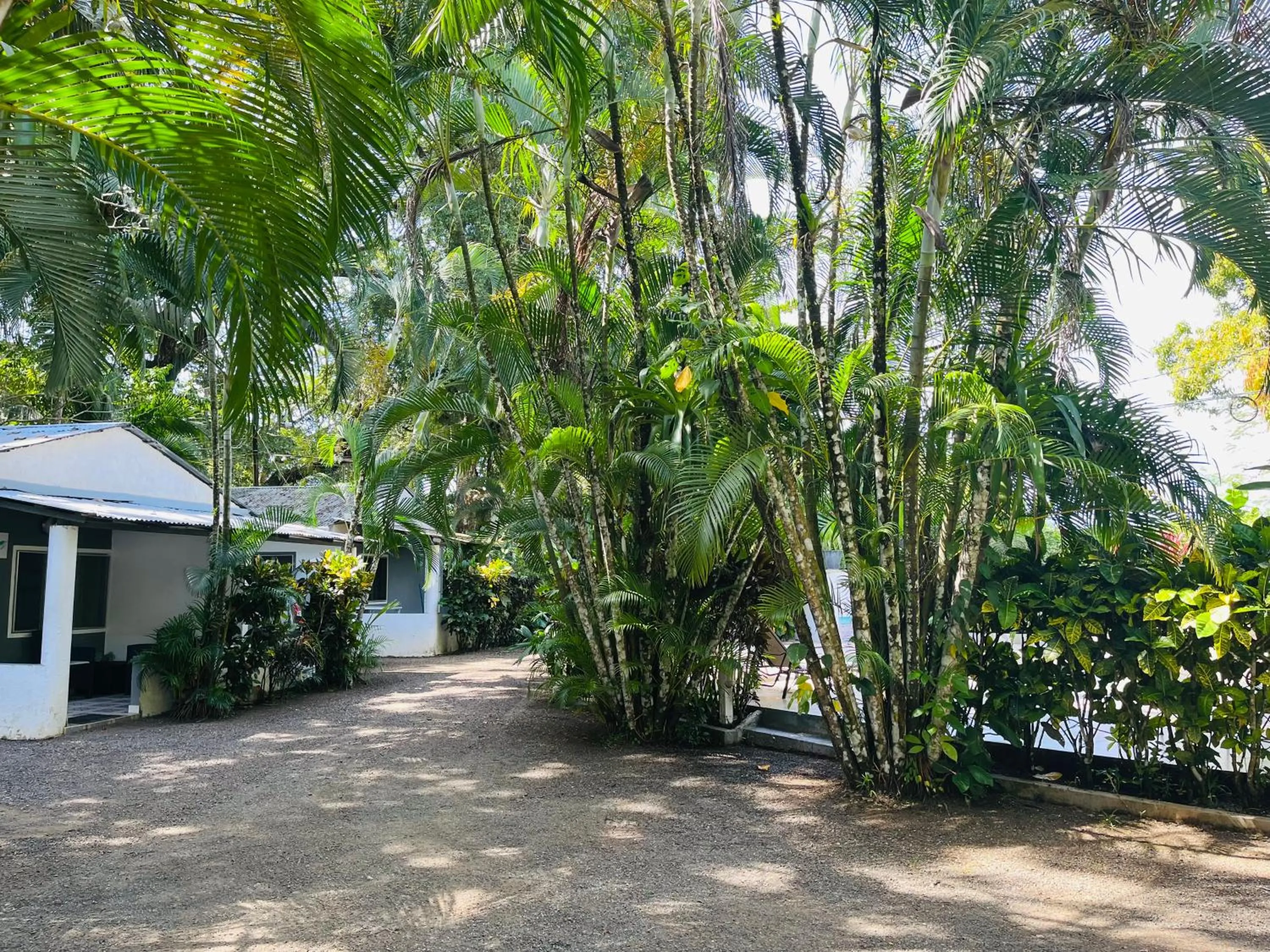 View (from property/room) in Villas Majolana