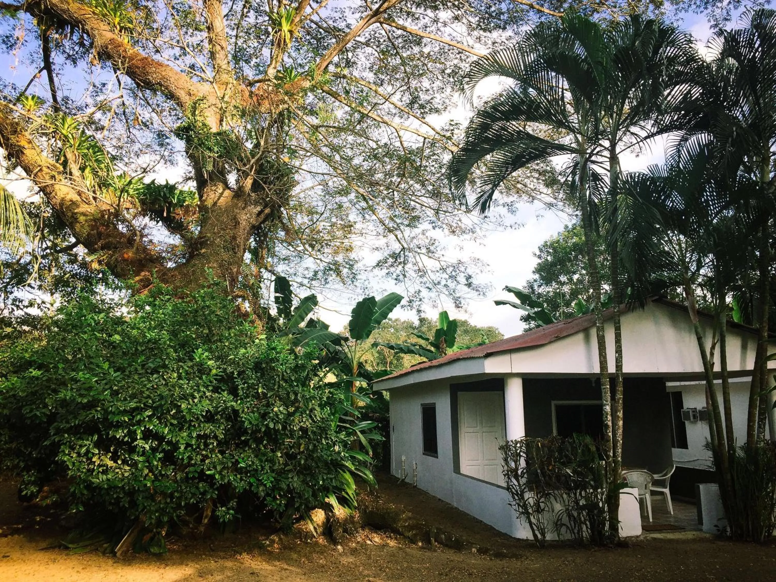 Garden view in Villas Majolana
