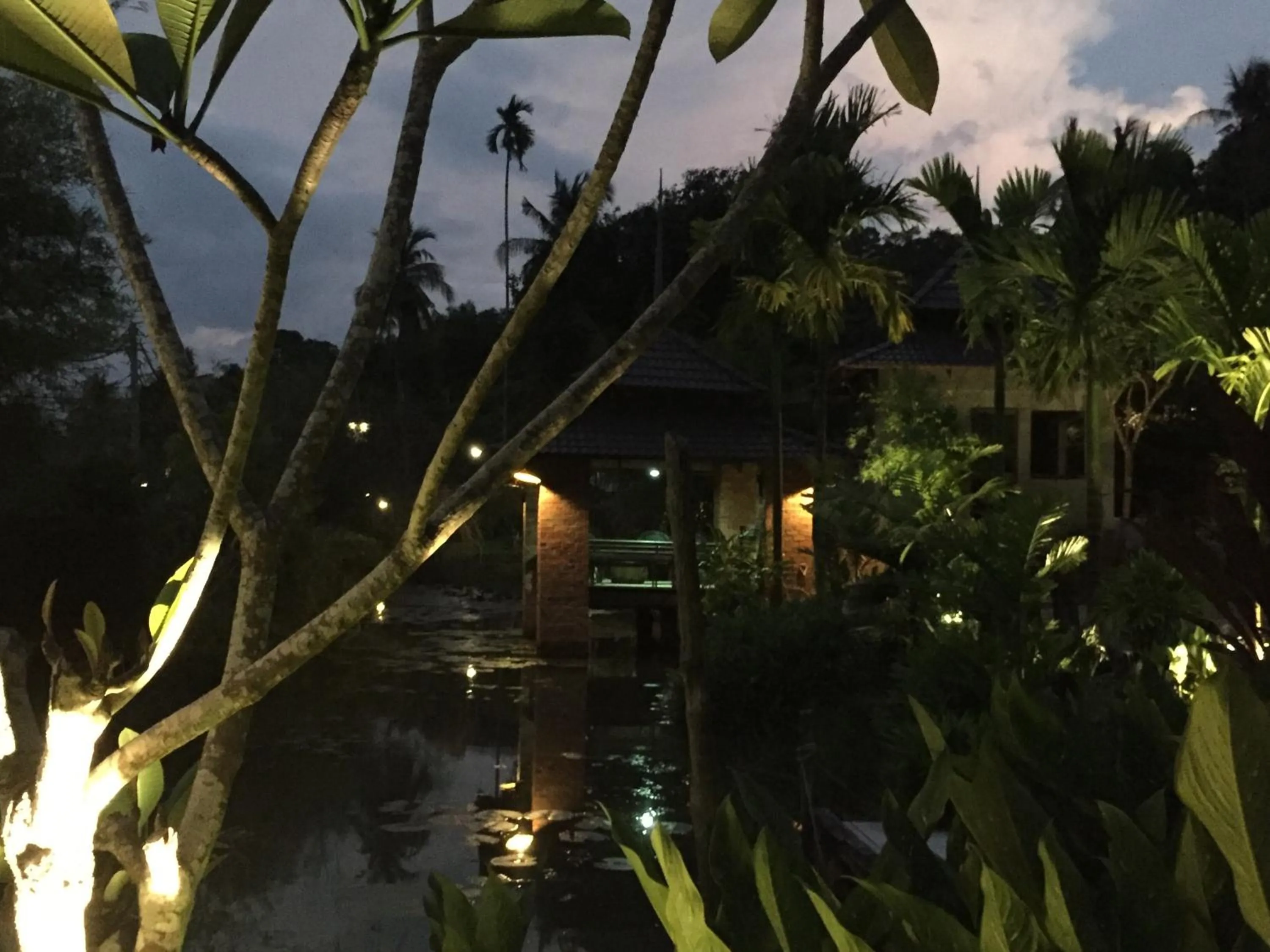 Lake view in The Sanctuary Langkawi