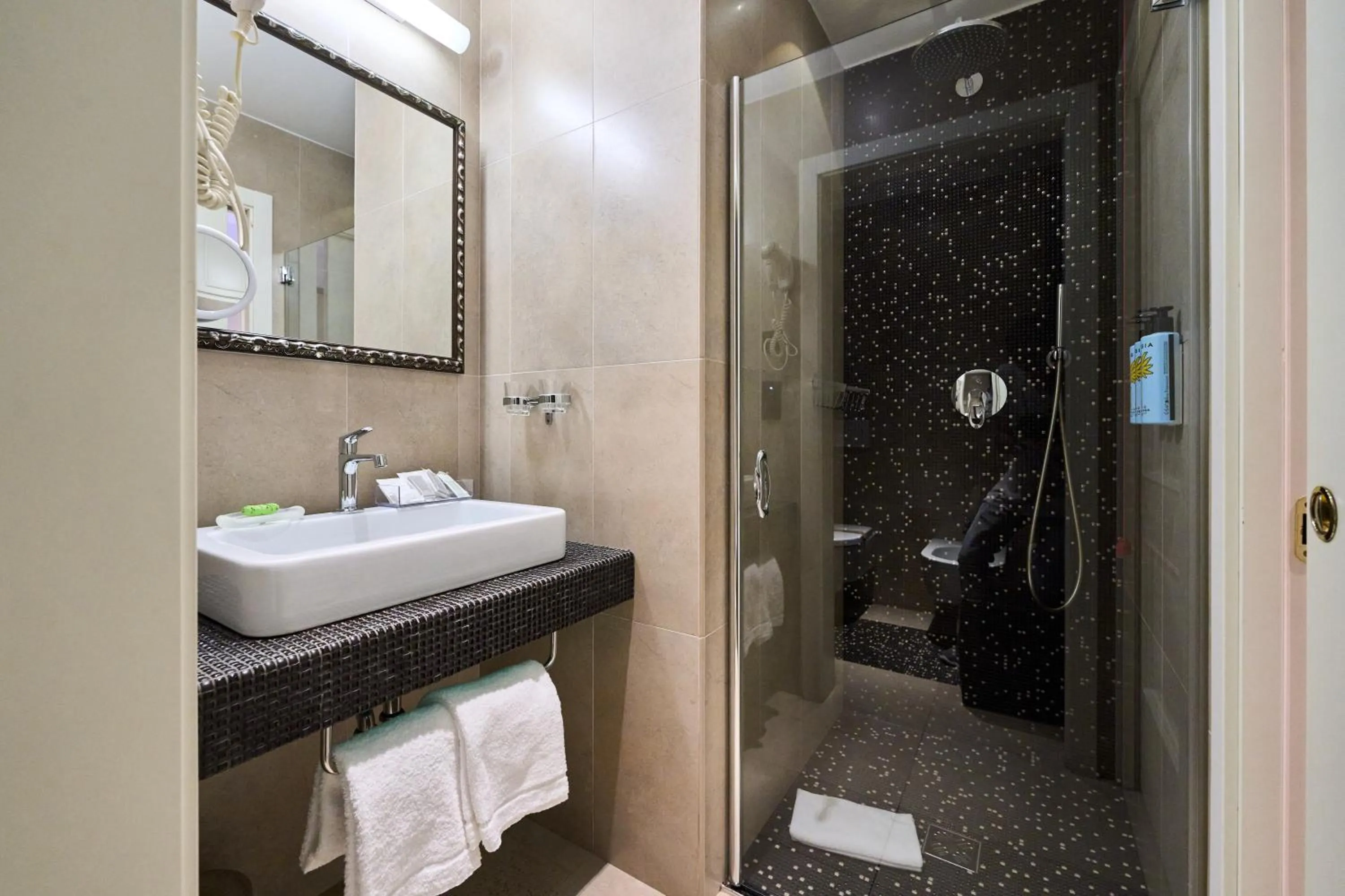 Shower in Parc Hotel Flora S