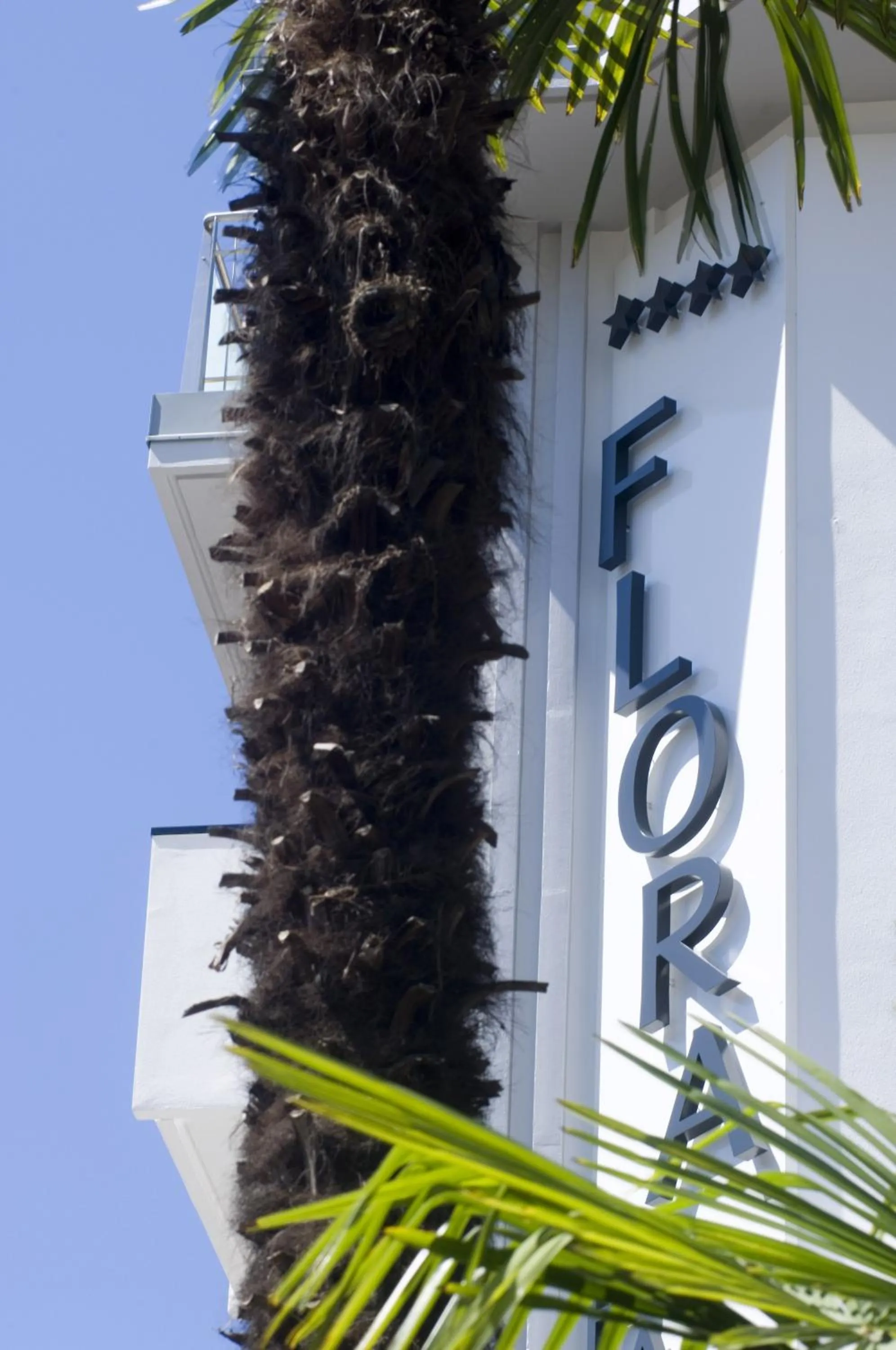 Day in Parc Hotel Flora S