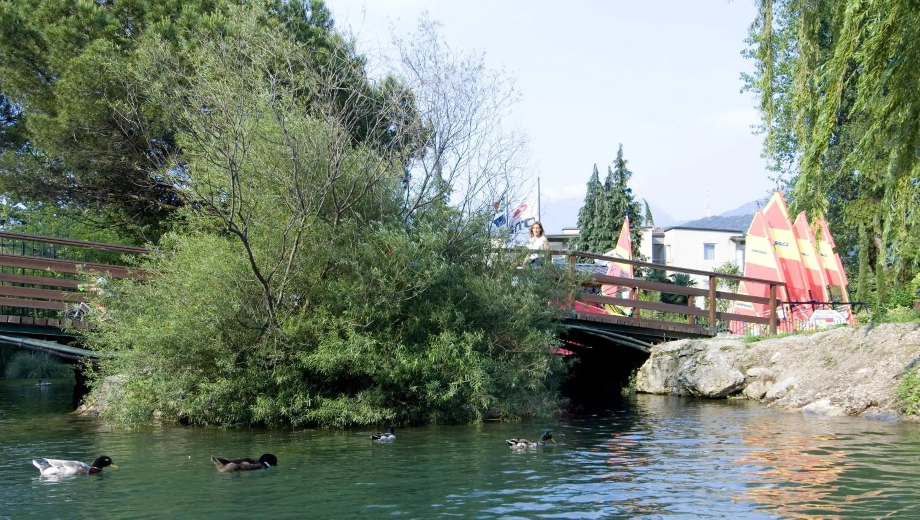 Day in Parc Hotel Flora S