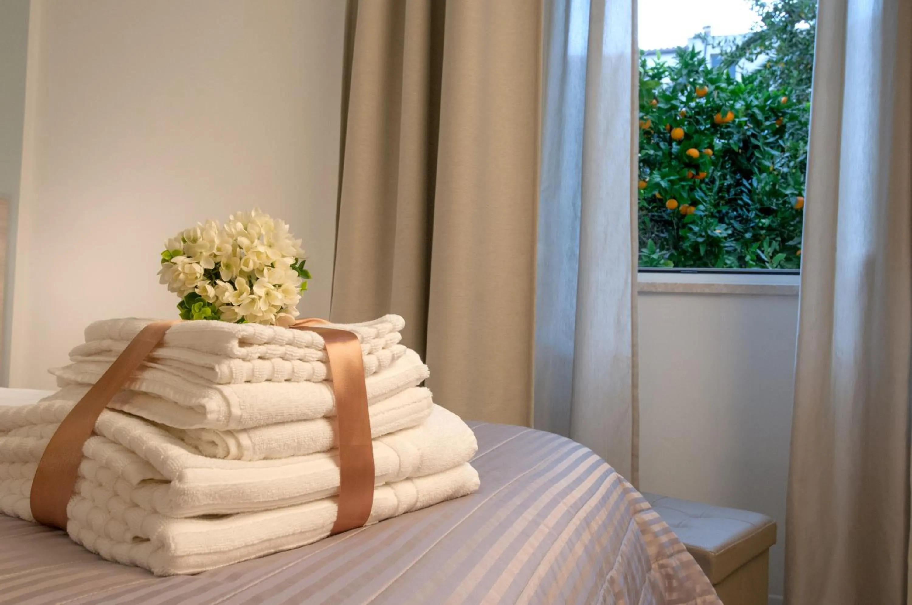 Garden view in Angioy 18