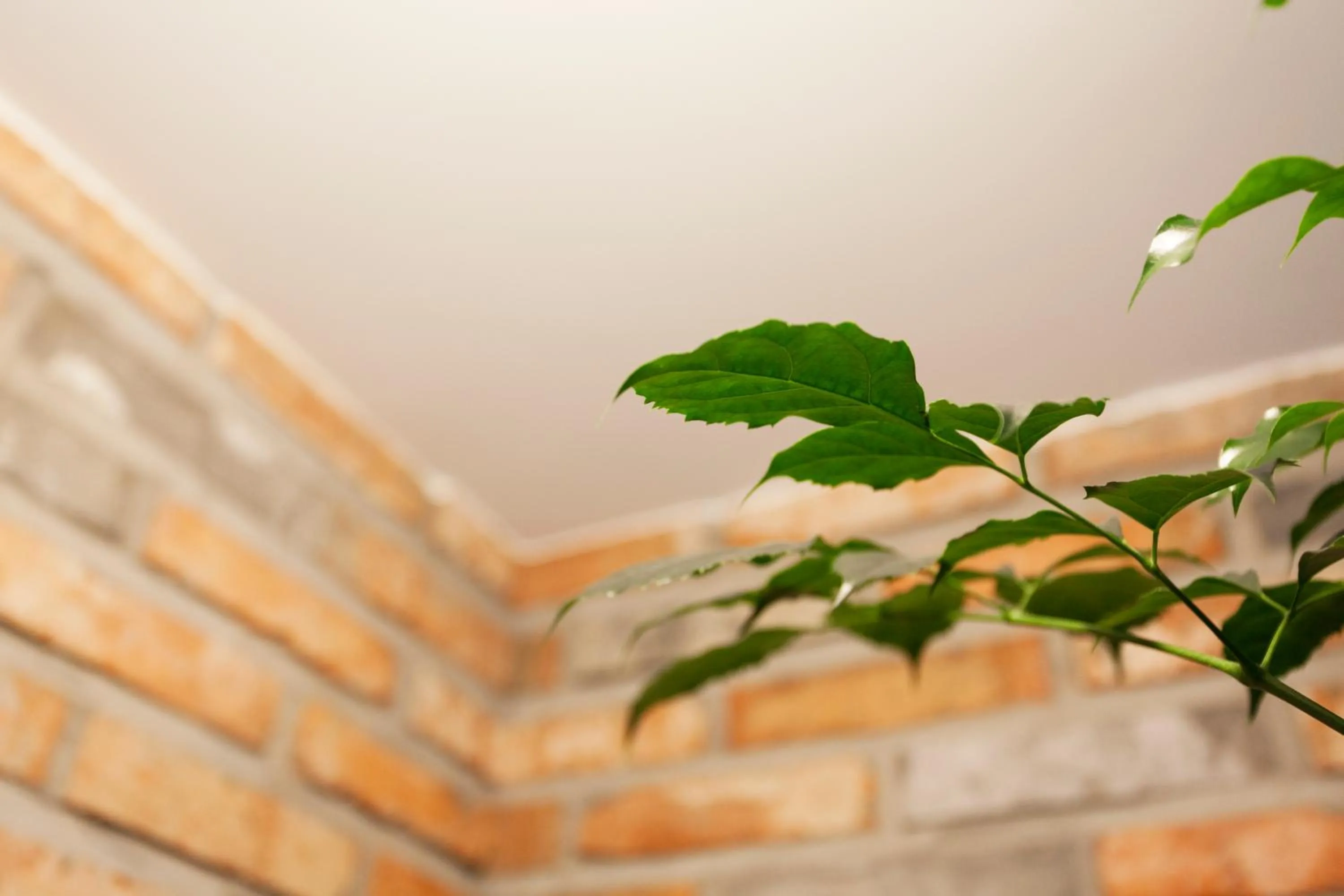 Spring in Hotel Leaders