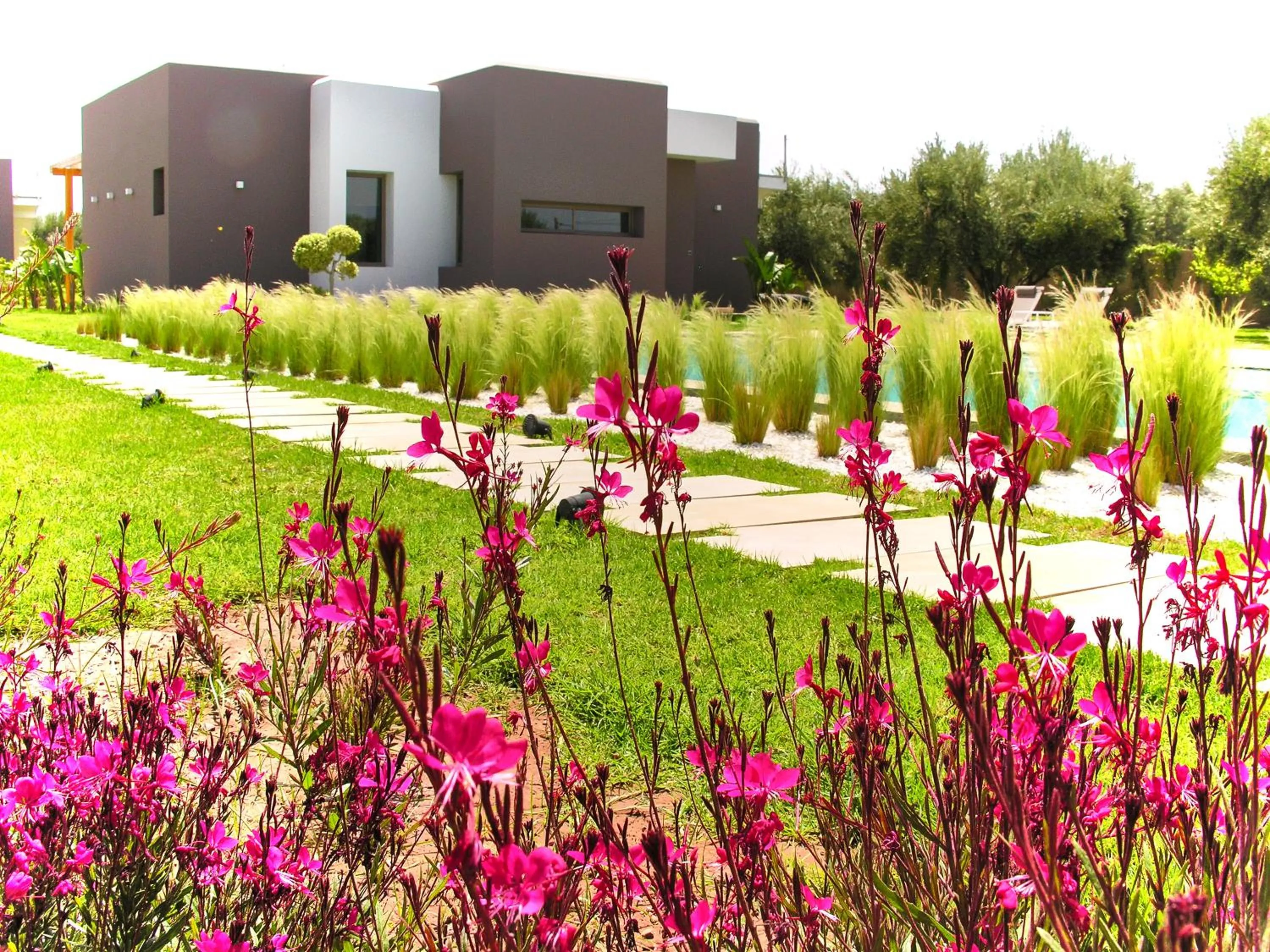 Garden view in Villa Jardins D'Isa