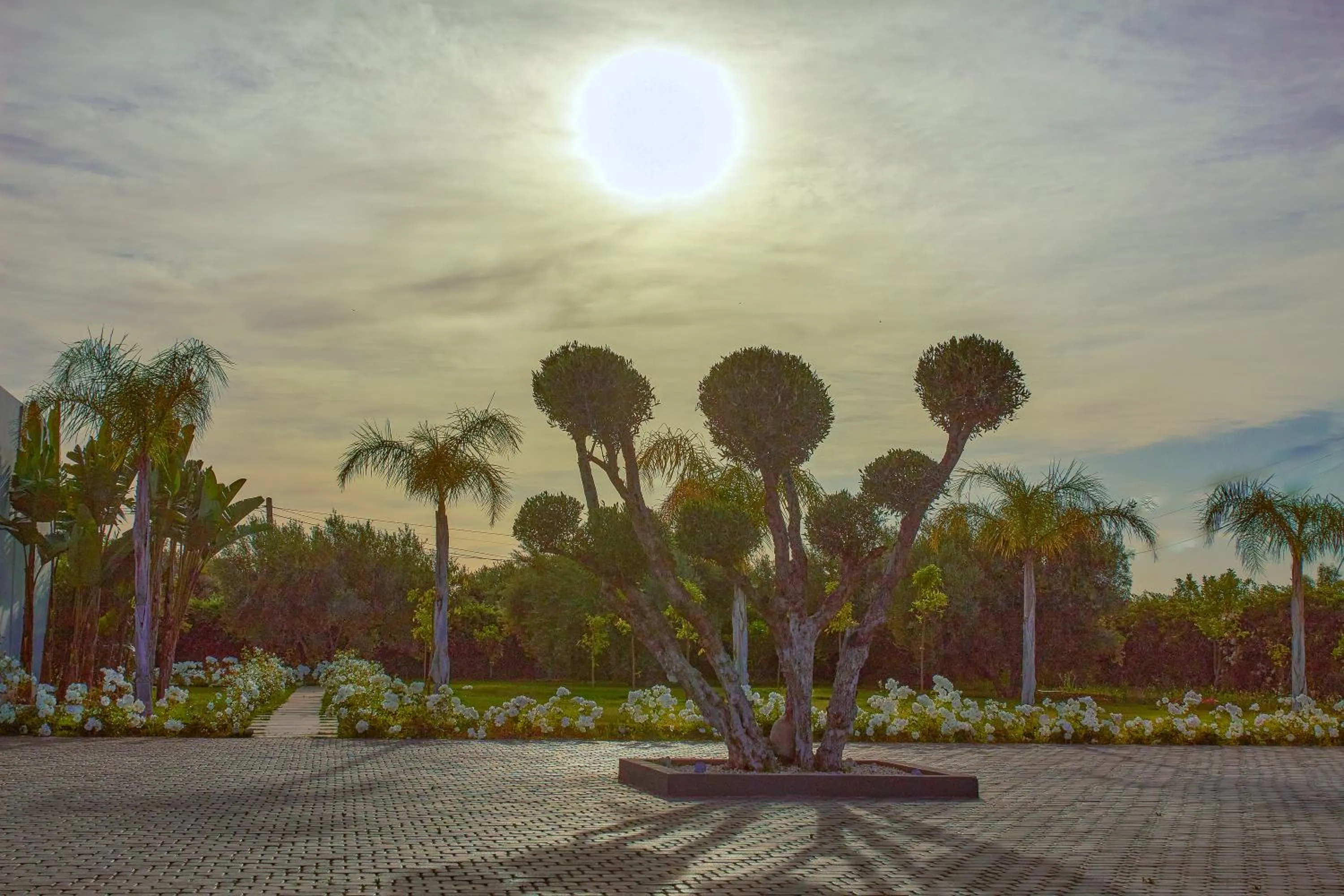 Garden view in Villa Jardins D'Isa