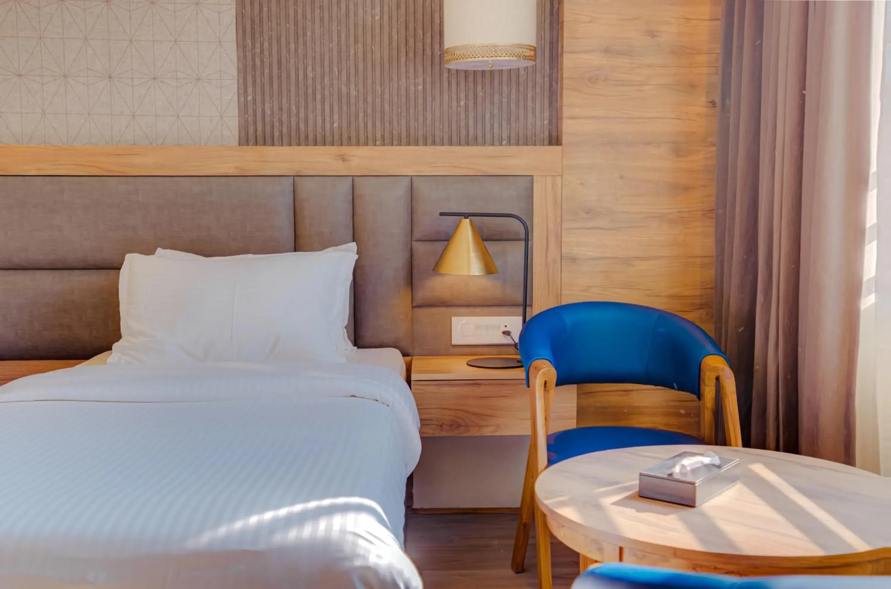 Standard Double Room in Hotel Vasundhara Palace Standard Double Room in Hotel Vasundhara Palace