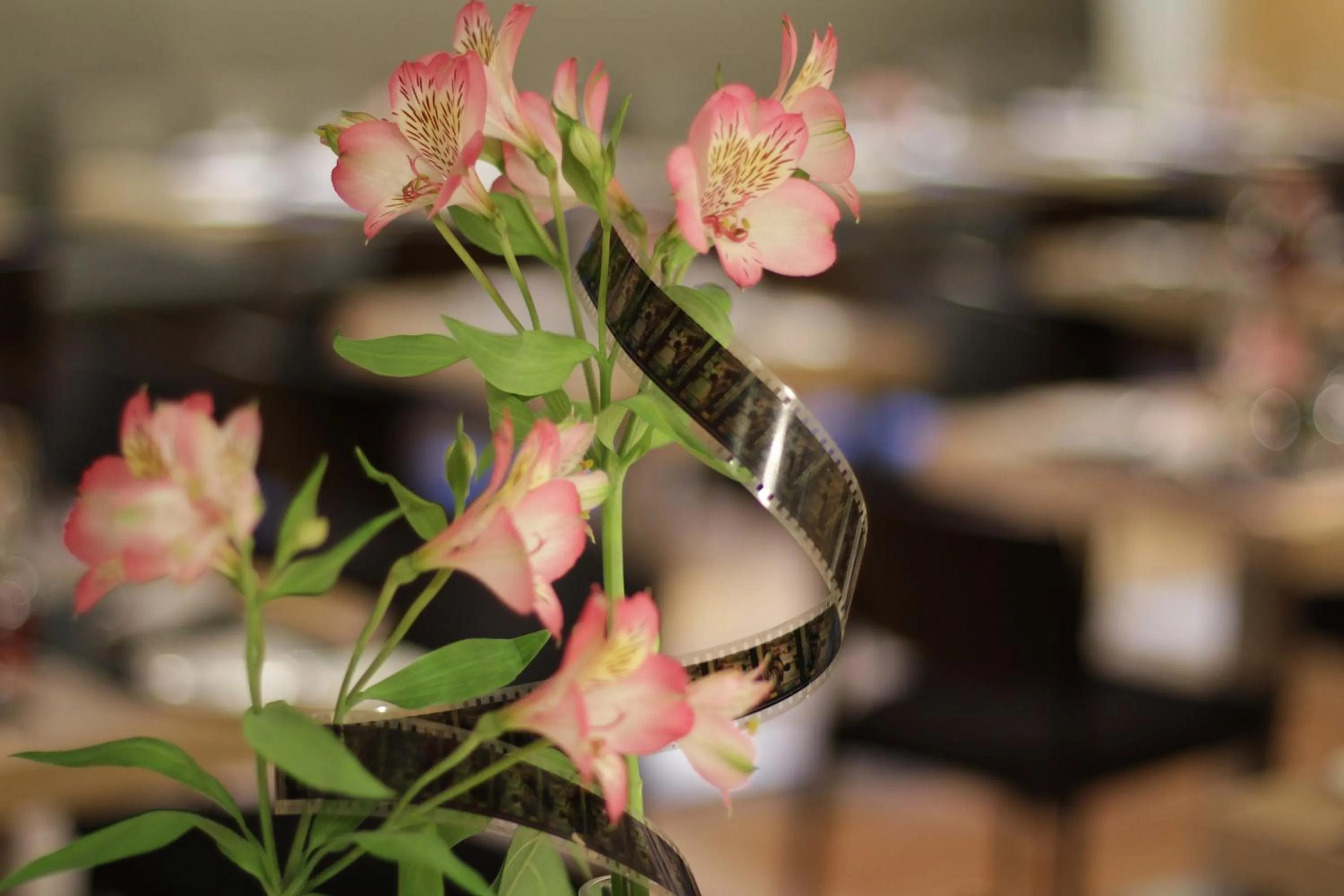 Other in Hotel Zinema7