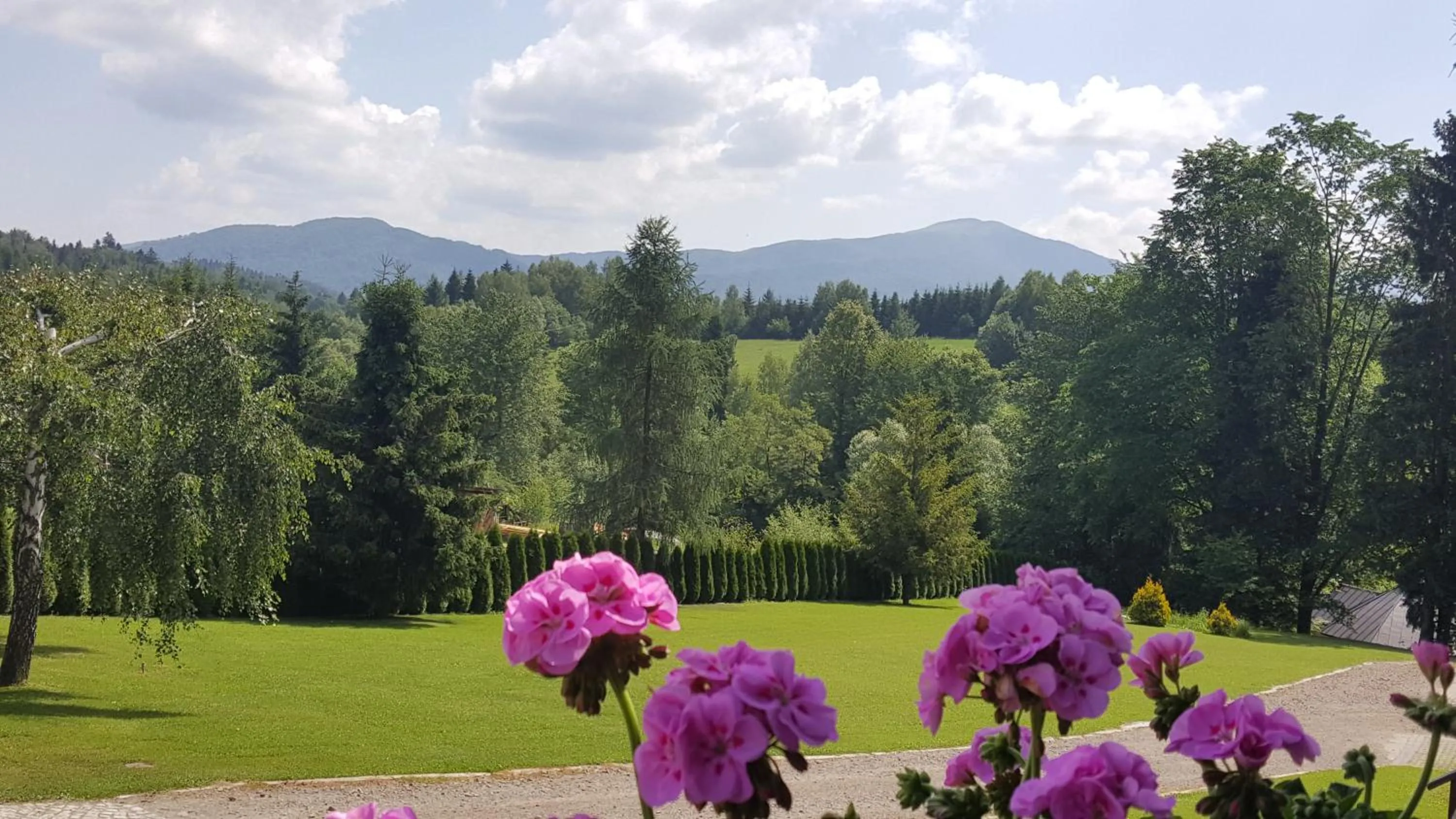 Spring in Dom Malowany