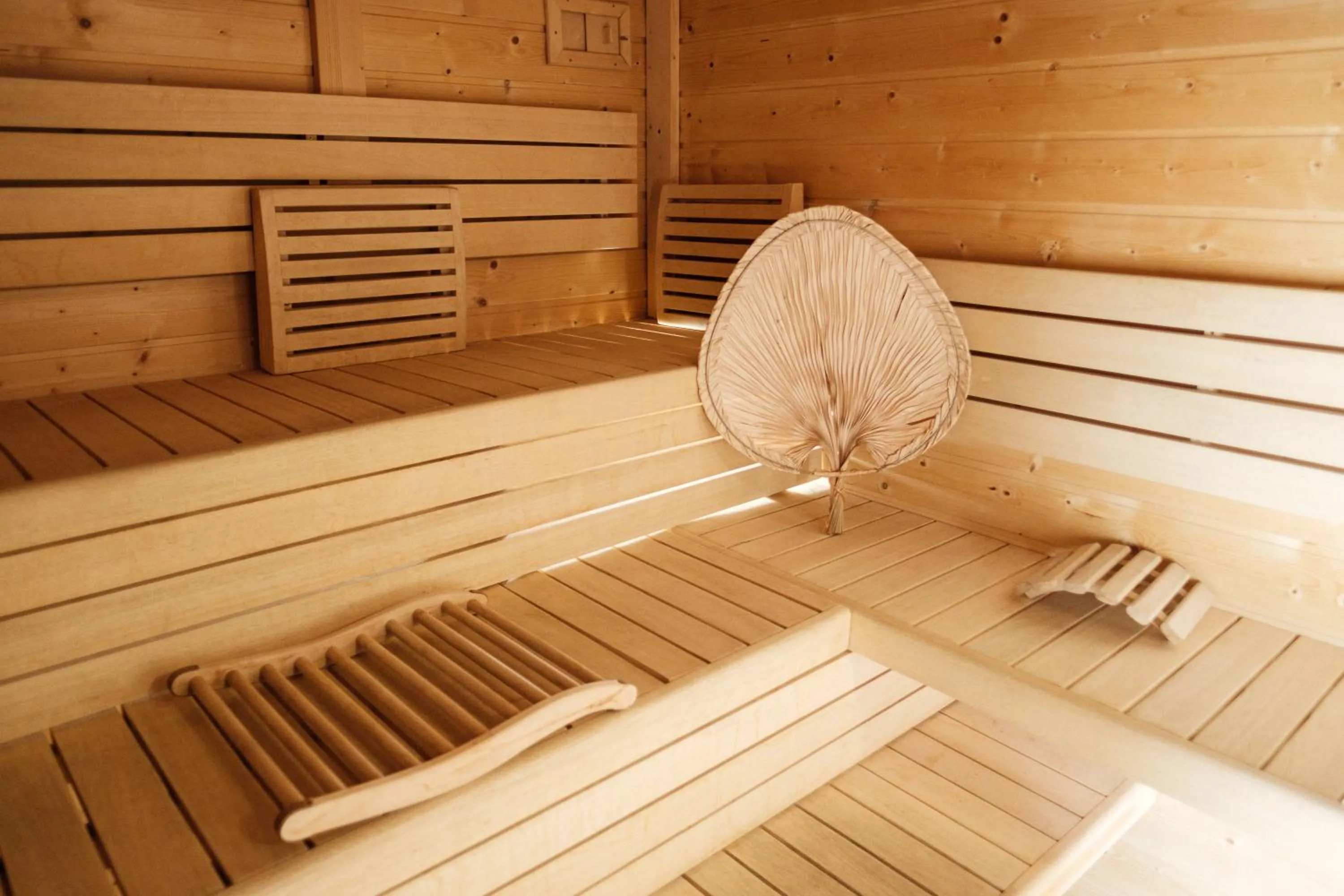 Sauna in Dom Malowany