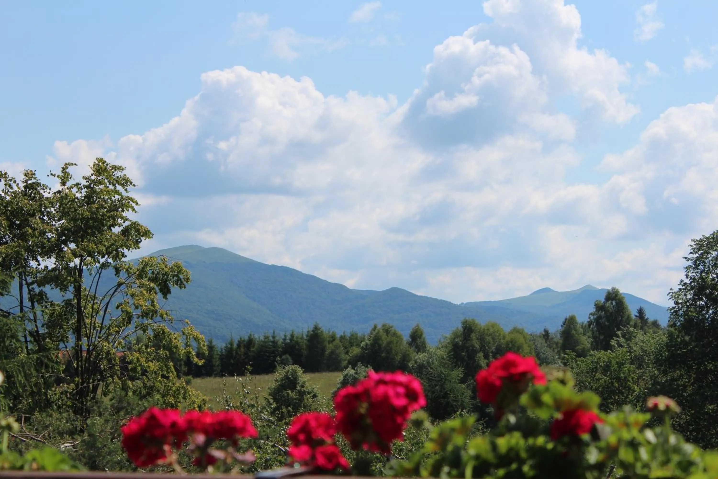 Spring in Dom Malowany