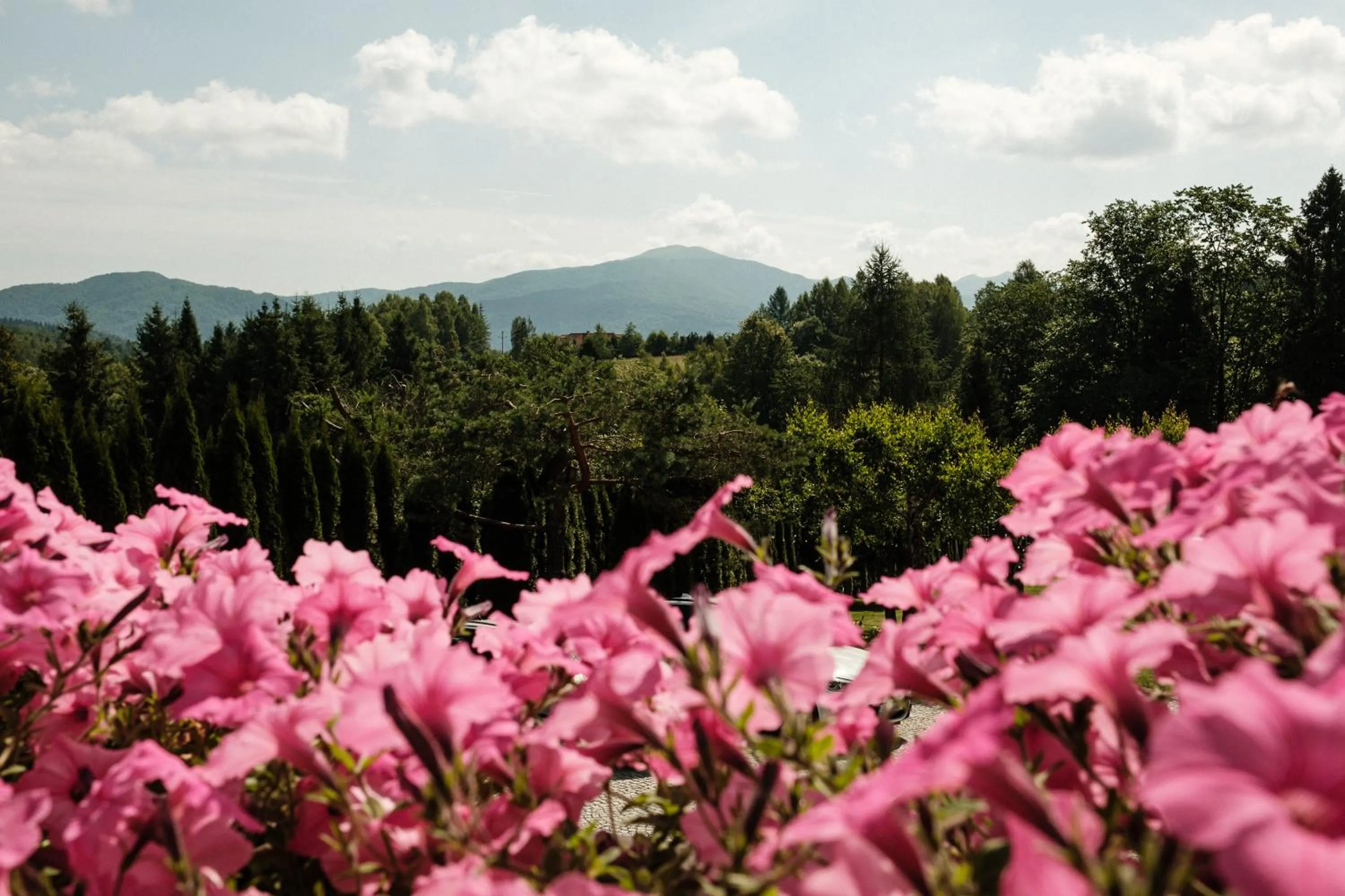 Mountain view in Dom Malowany