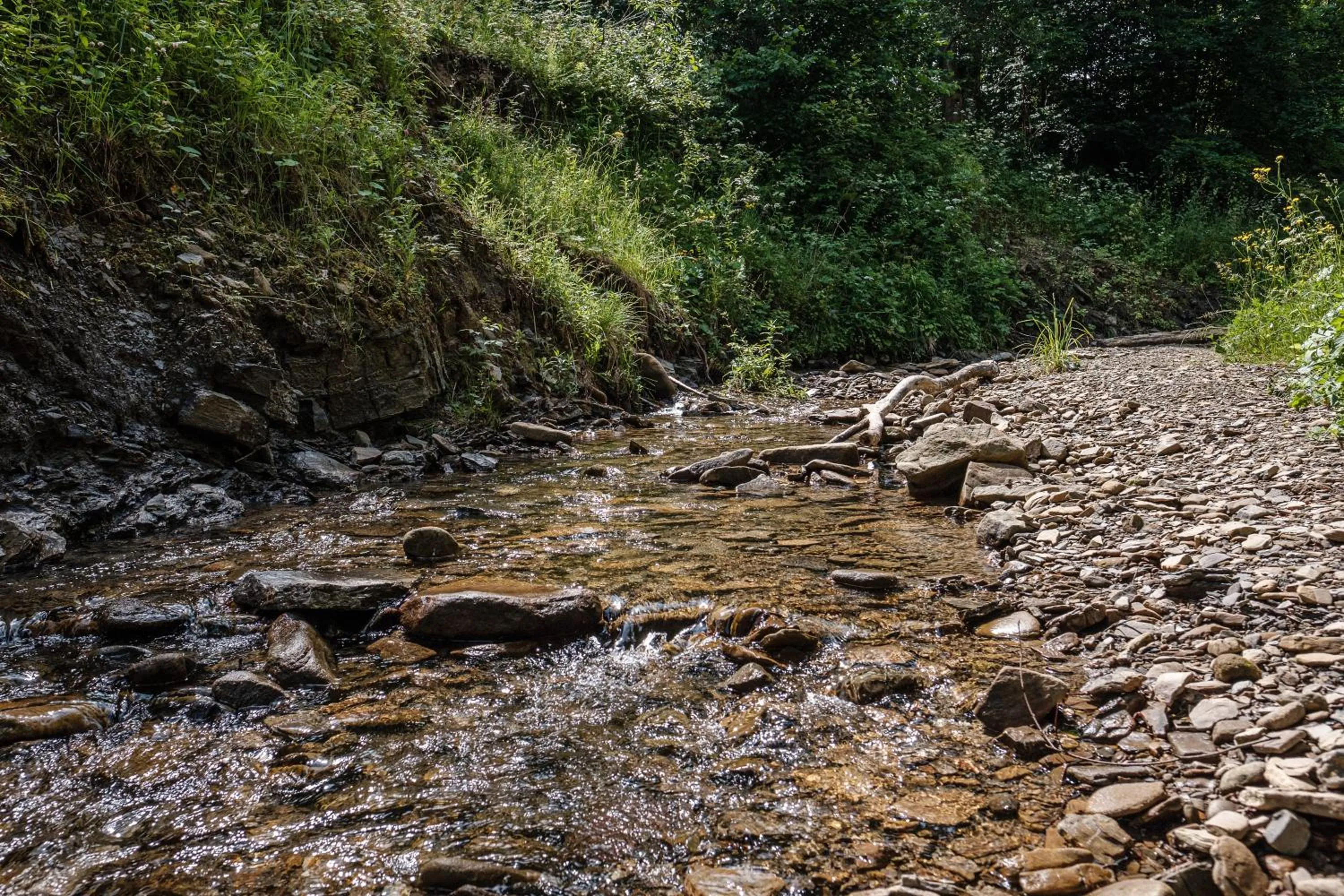 Natural landscape in Dom Malowany