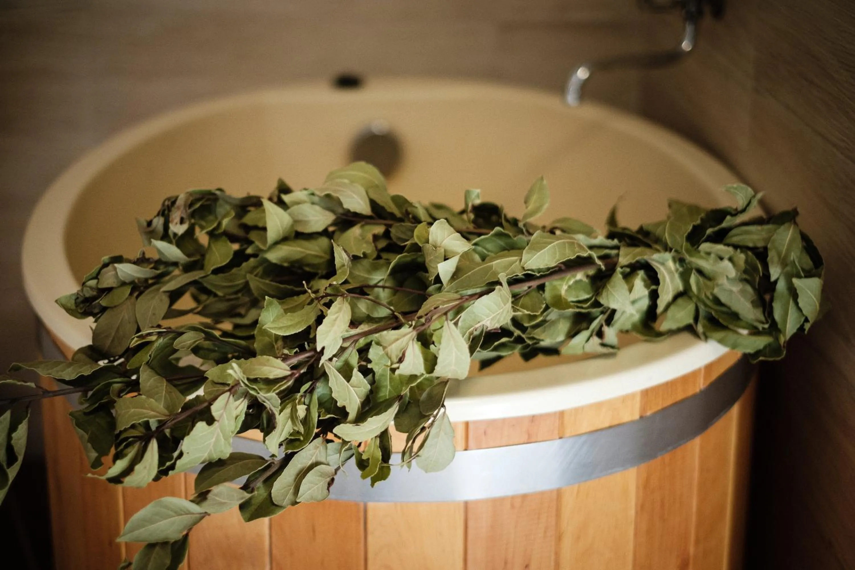 Sauna in Dom Malowany