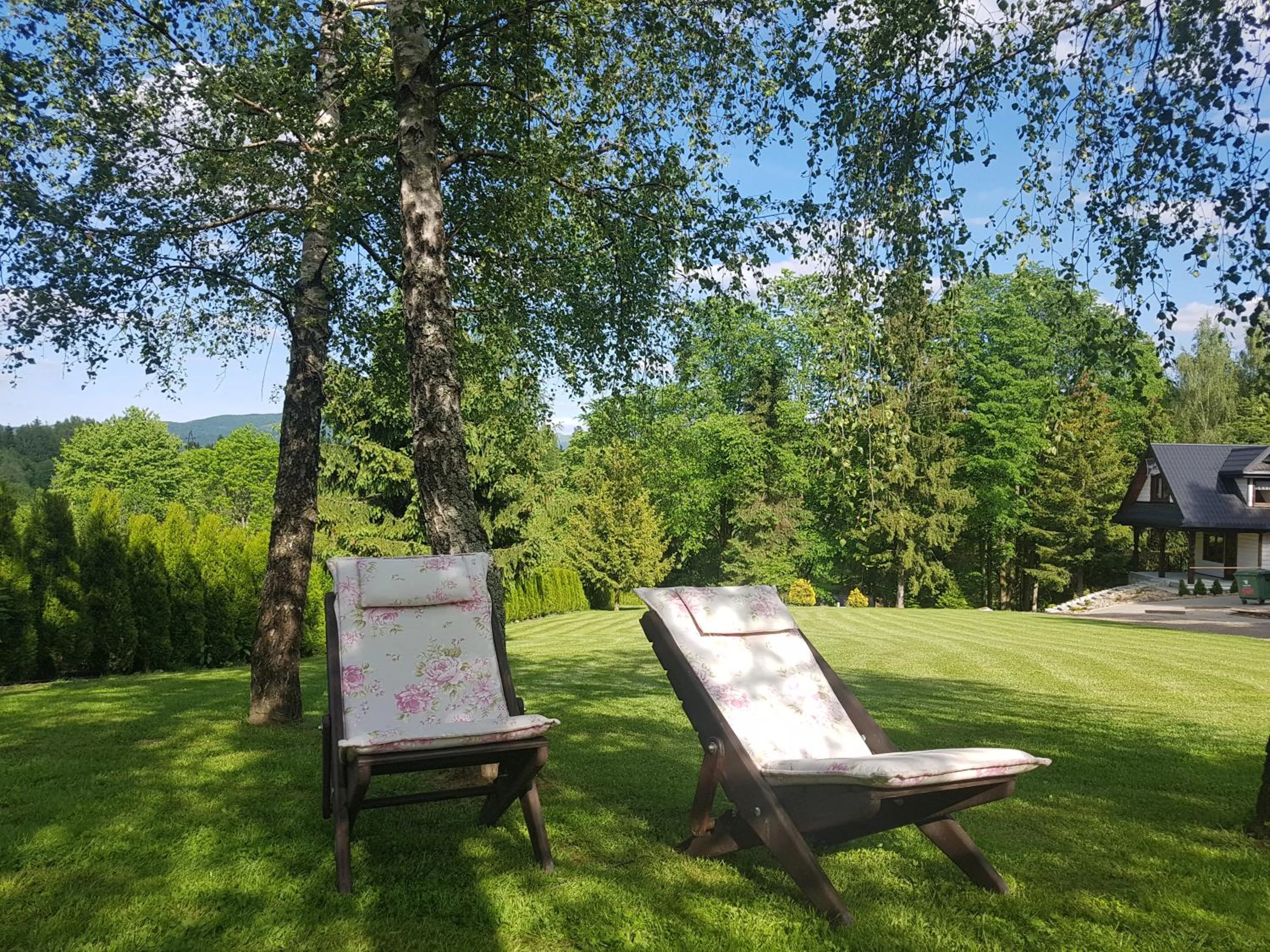 Patio in Dom Malowany