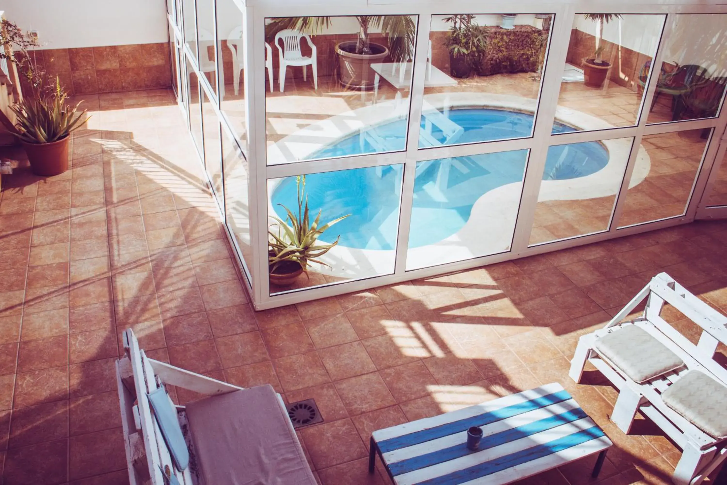 Aloe Vera Shared House Aloe Vera Shared House