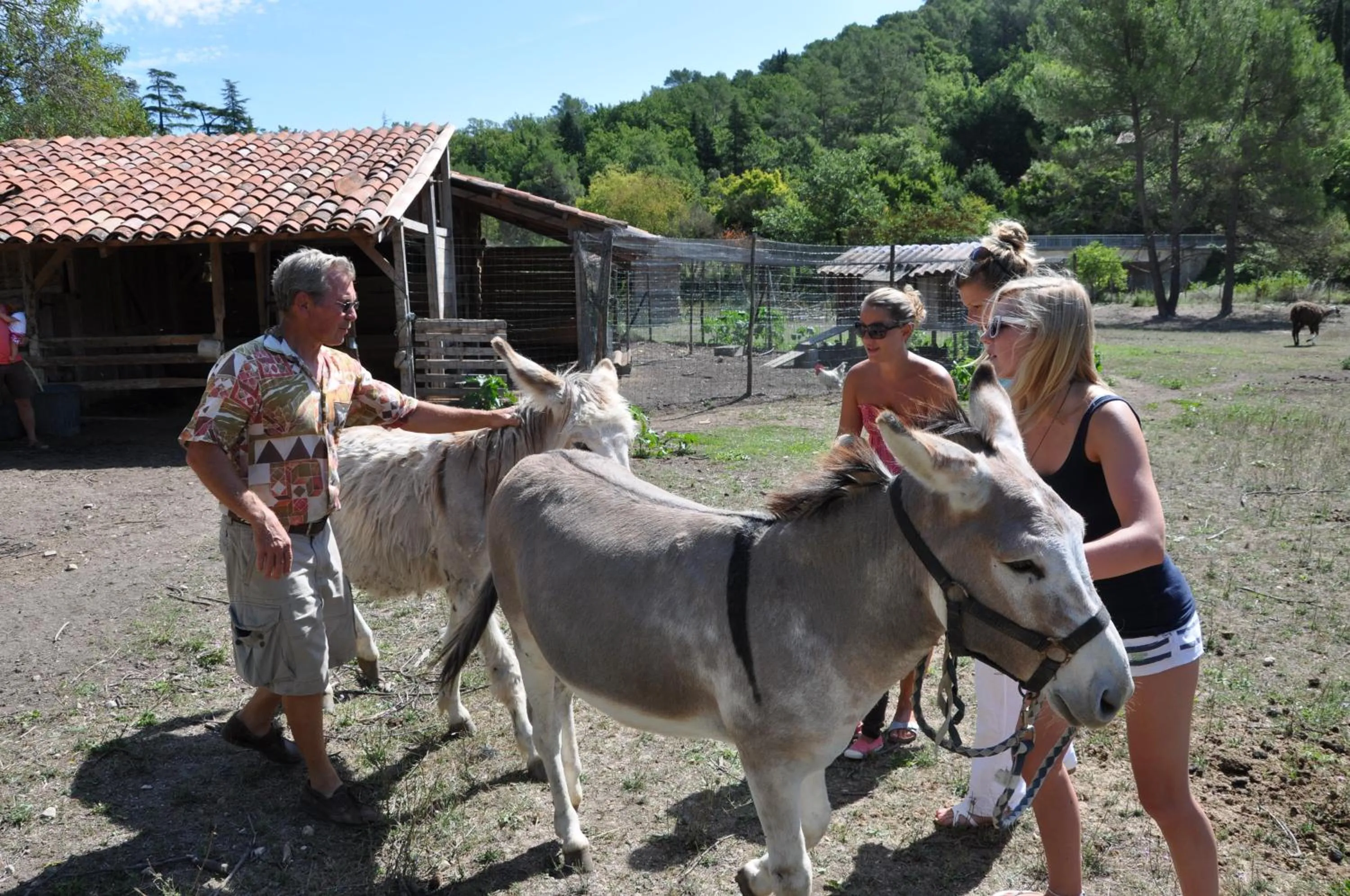 Kids's club in Mas La Jaina