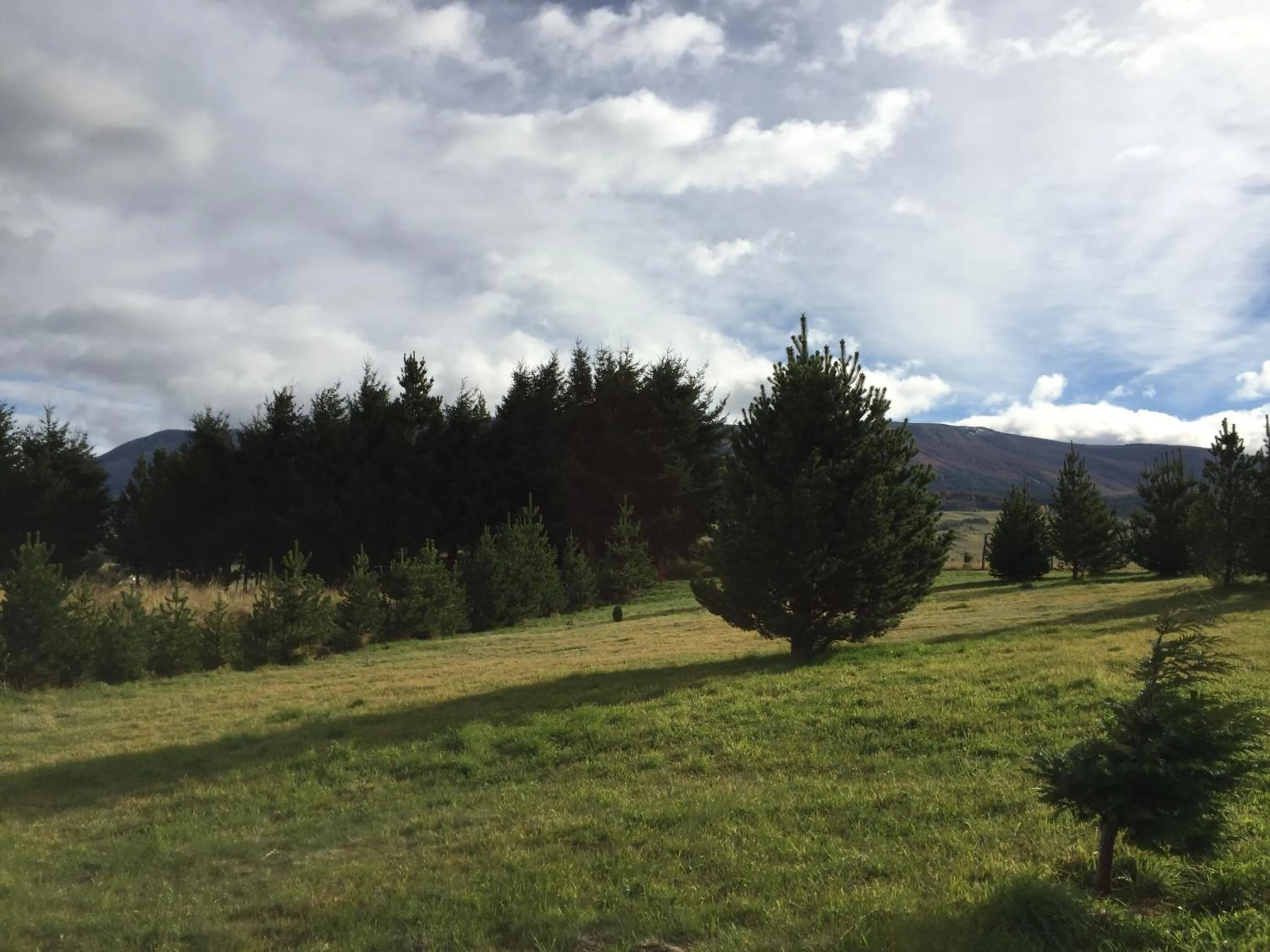 Cabañas Posadas De Coyhaique