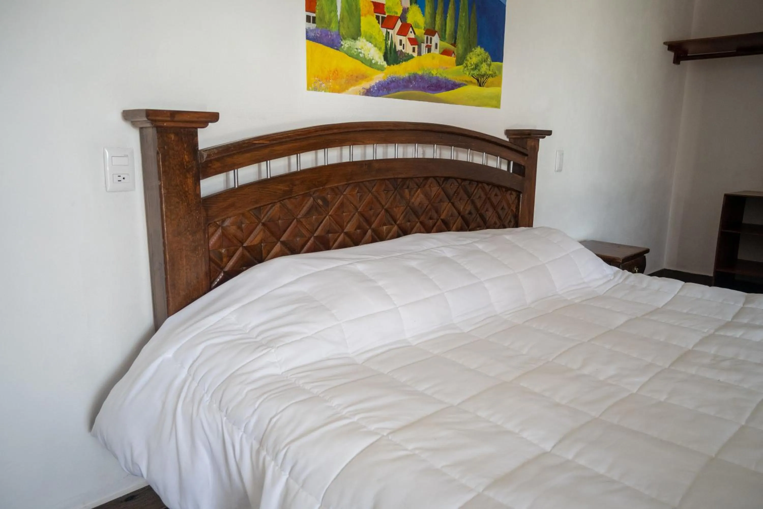 Superior Queen Room - single occupancy in Hotel Buenavista