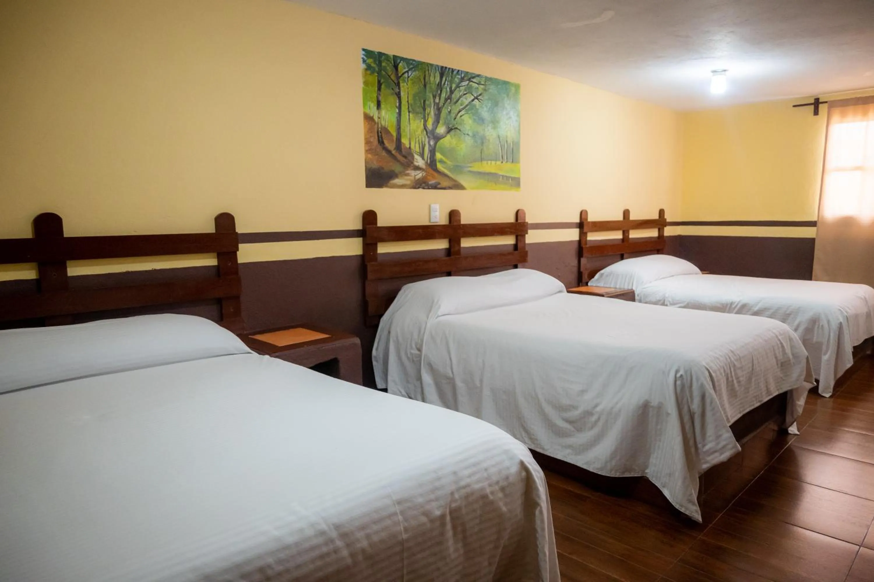 Superior Triple Room in Hotel Buenavista