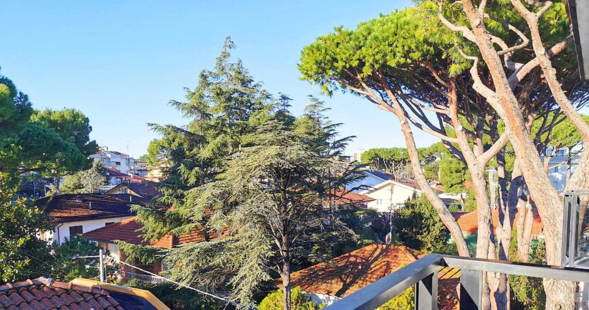 View (from property/room) in Hotel Bellini