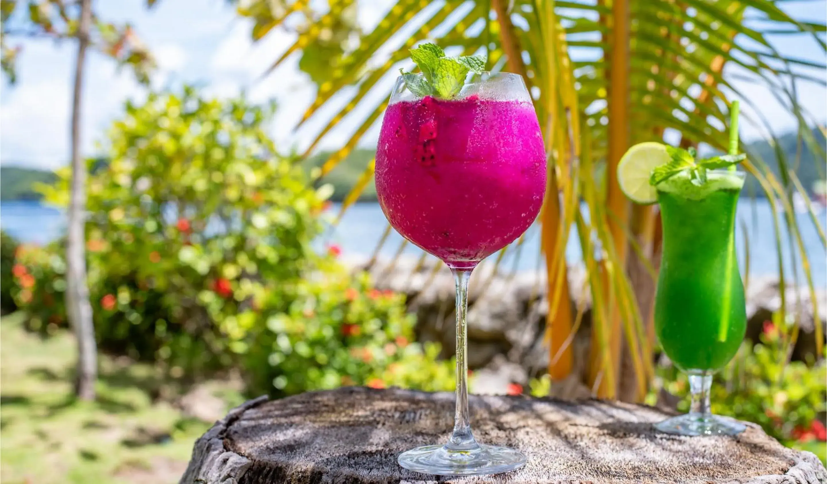 Food and drinks in Isla Chiquita Glamping Hotel Food and drinks in Isla Chiquita Glamping Hotel