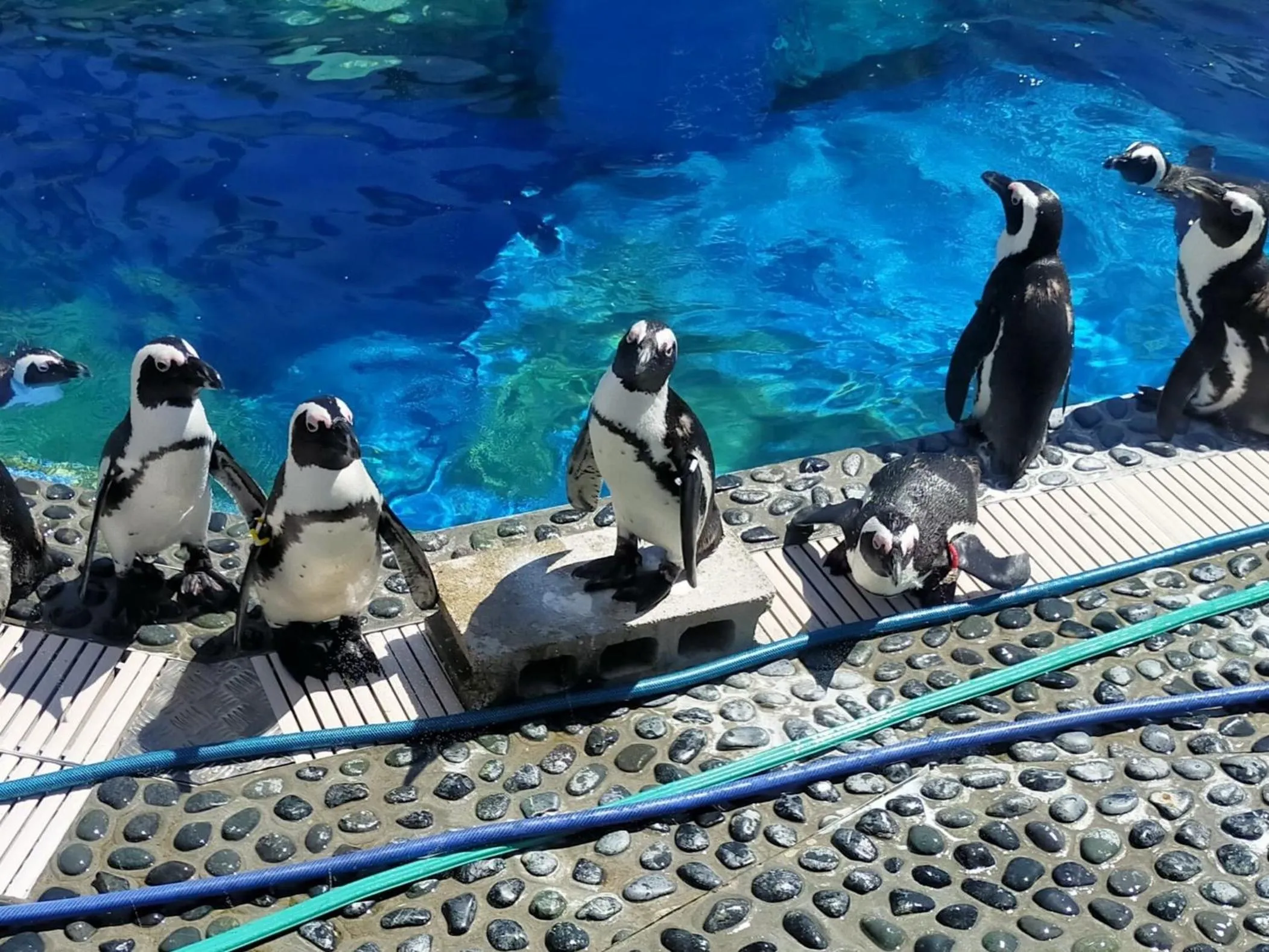 Nearby landmark in Sakaide Grand Hotel