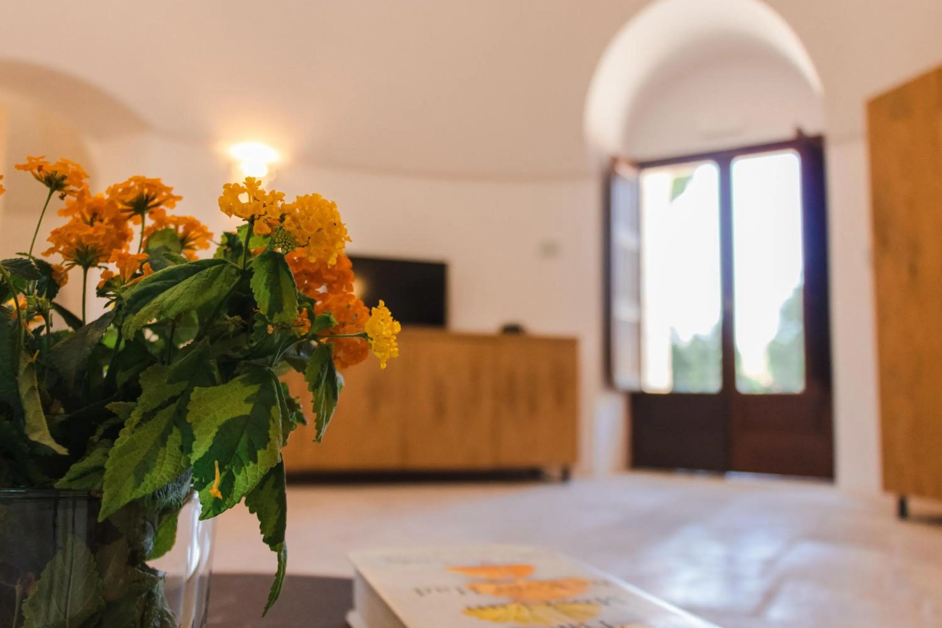 Photo of the whole room in Porto Giardino - CDSHotels