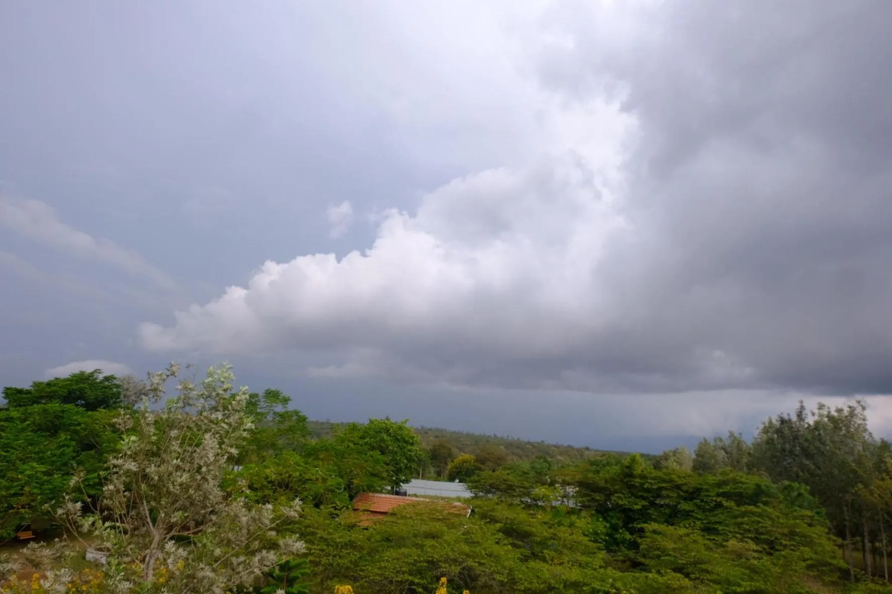 Chalets Resort Masinagudi