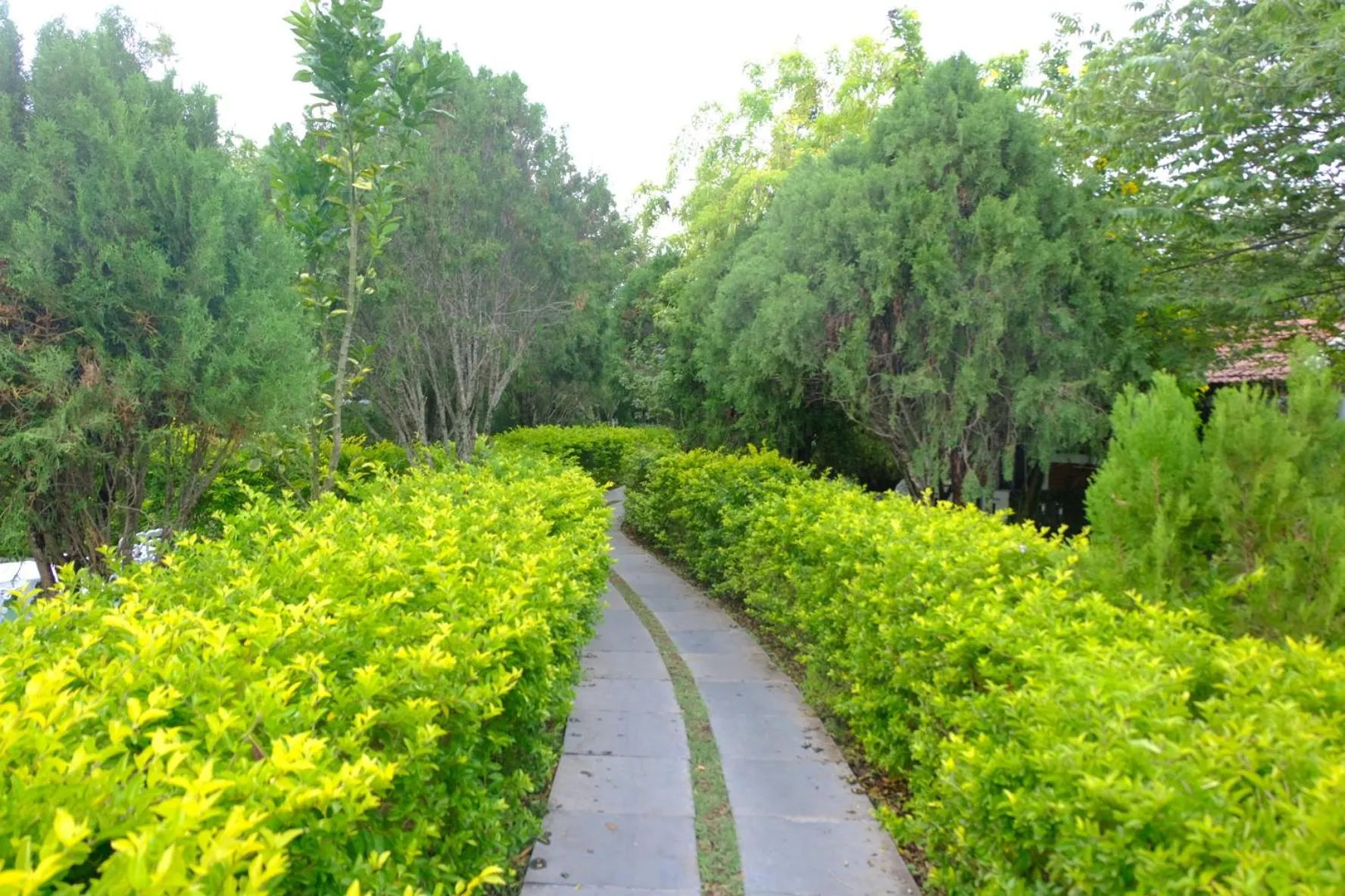 Chalets Resort Masinagudi