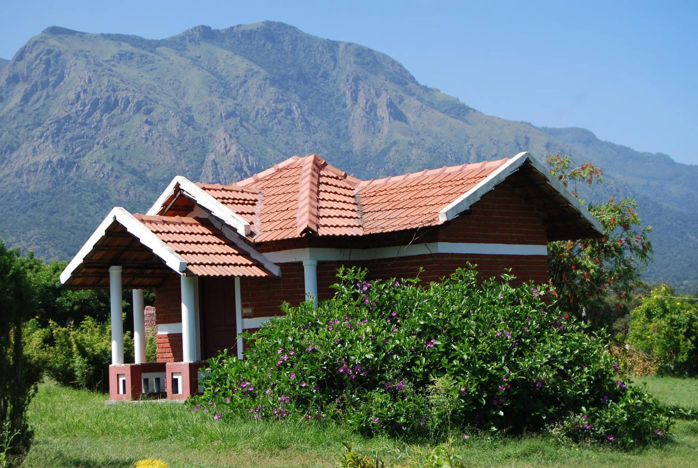 Facade/entrance in Chalets Resort Masinagudi